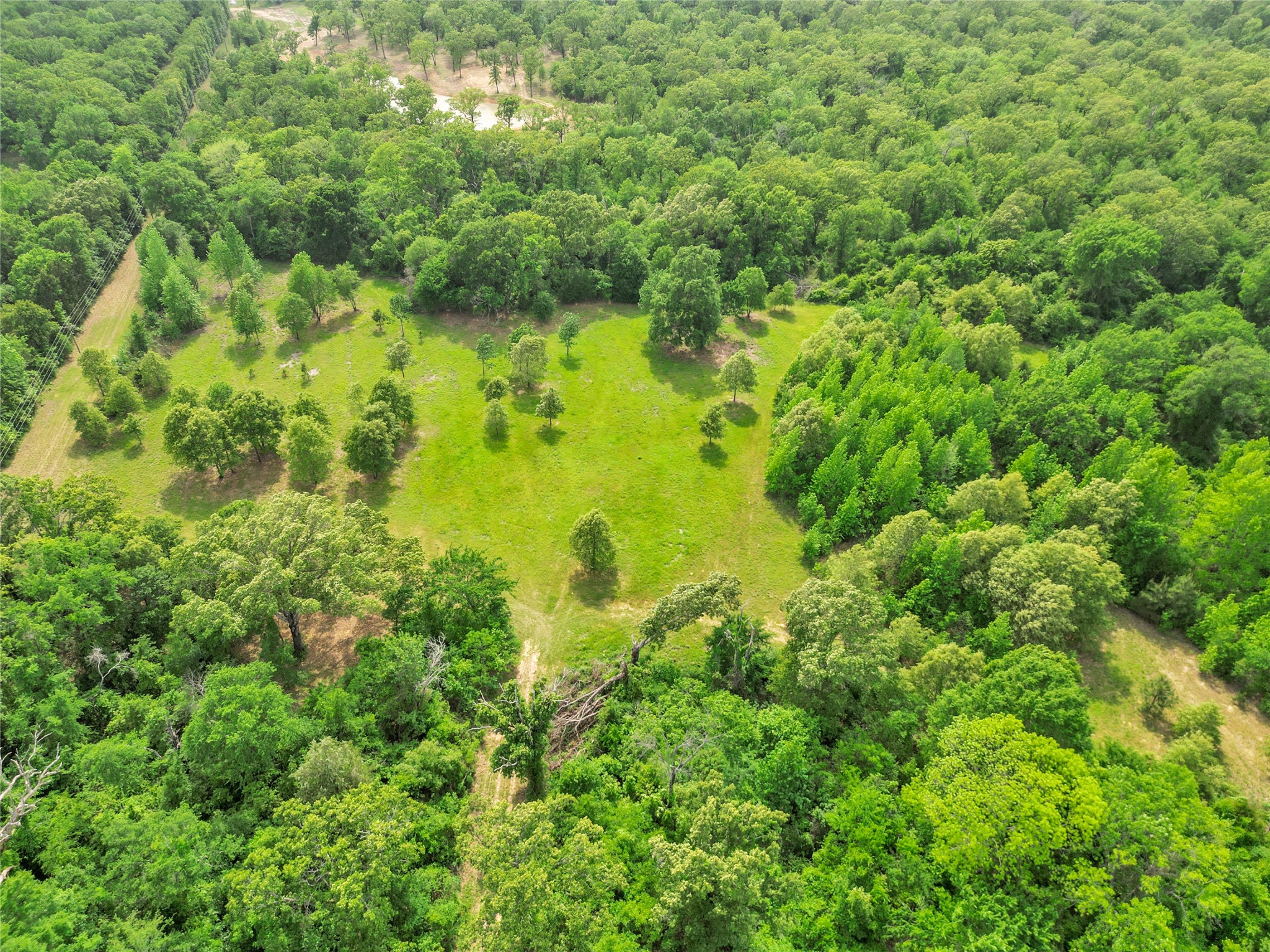 Tbd Vz County Road 1507 Road Grand Saline TX 75140