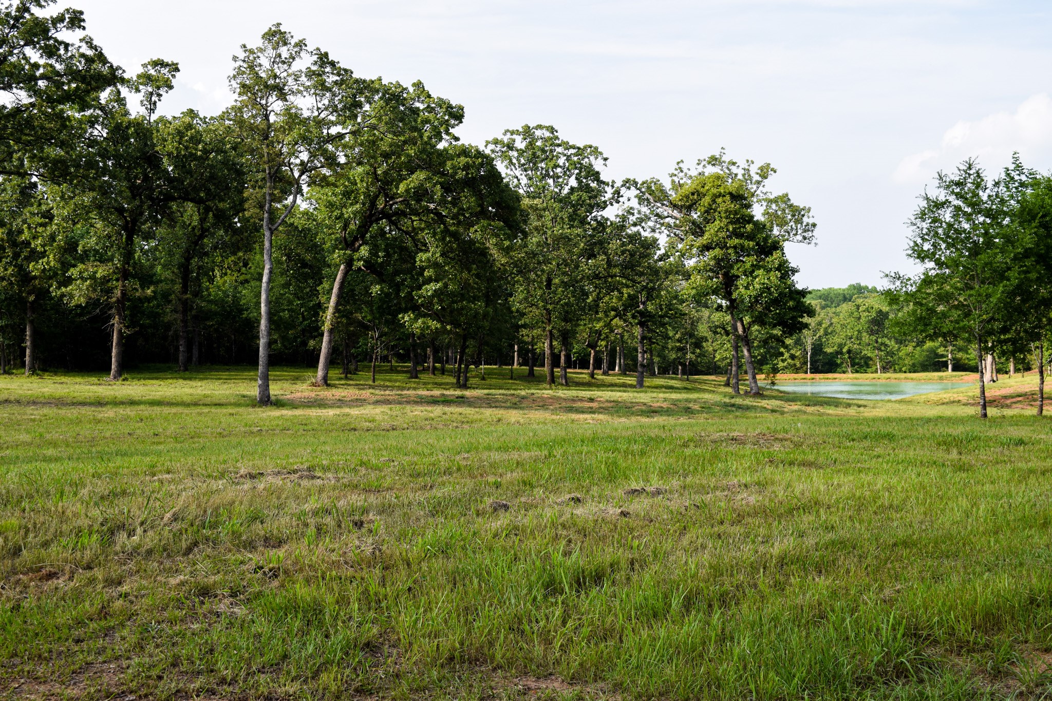 Tbd Vz County Road 1507 Road Grand Saline TX 75140