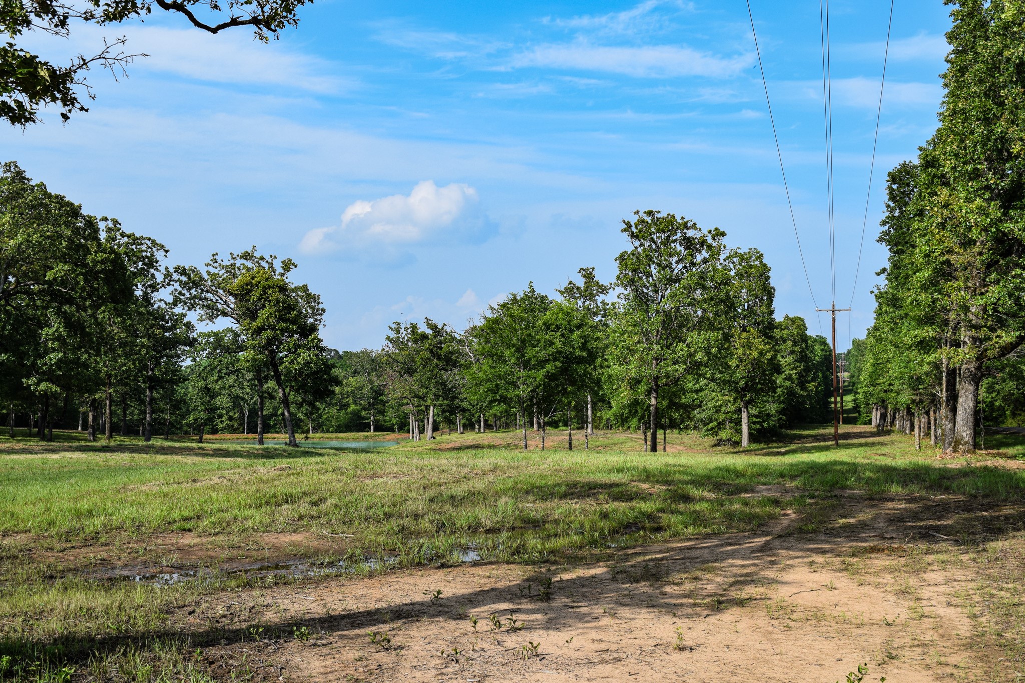 Tbd Vz County Road 1507 Road Grand Saline TX 75140