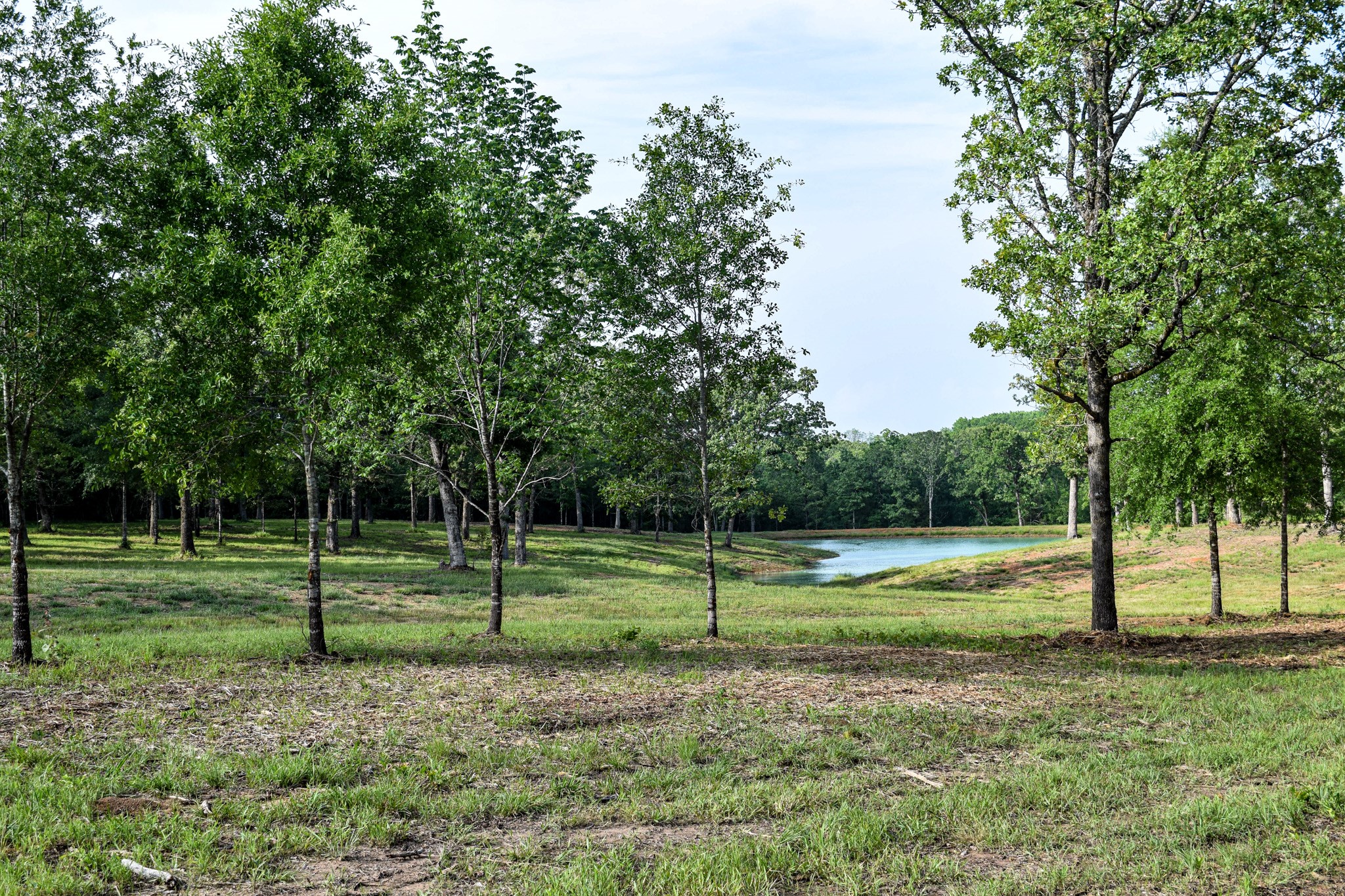 Tbd Vz County Road 1507 Road Grand Saline TX 75140