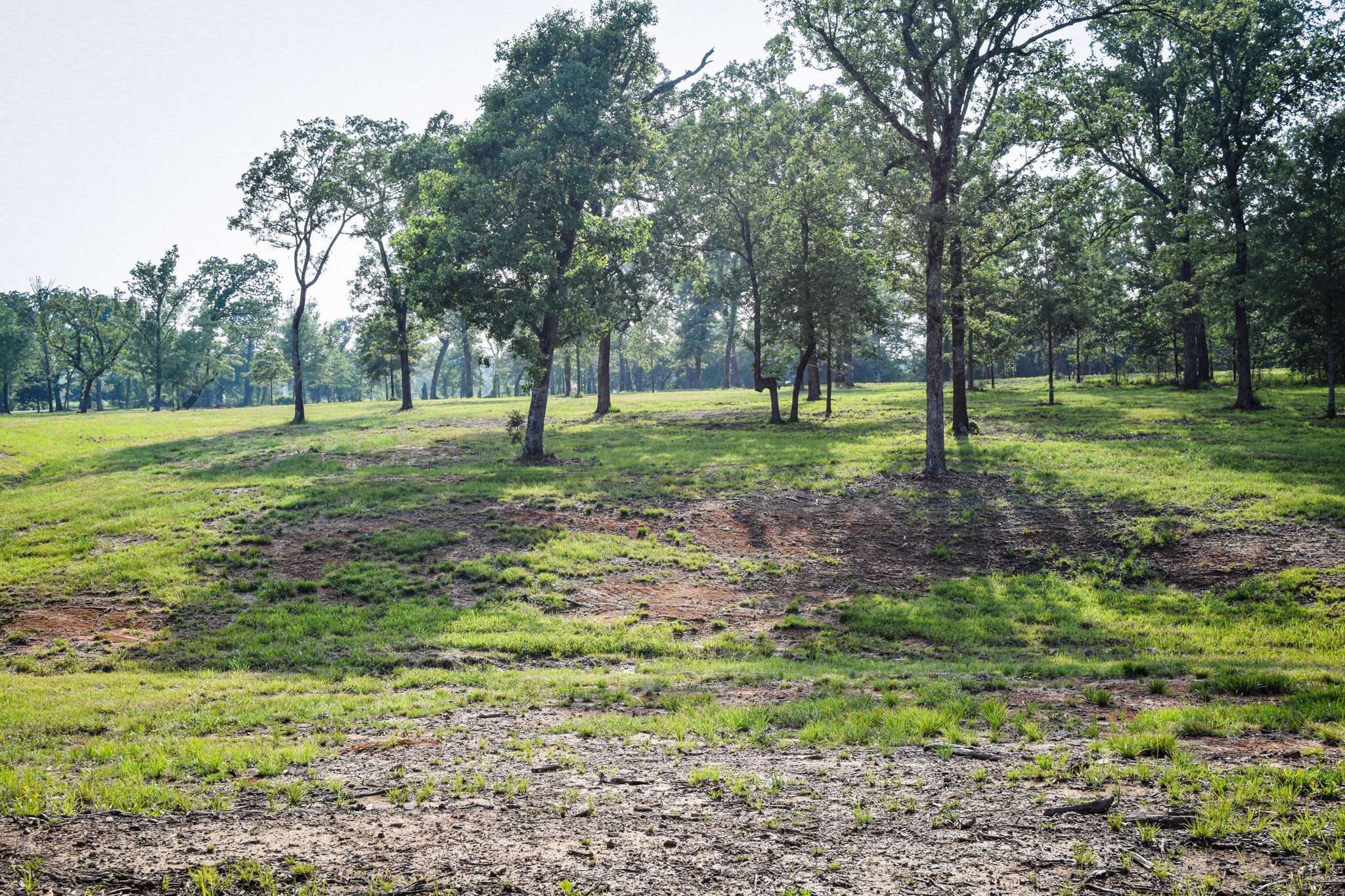 Tbd Vz County Road 1507 Road Grand Saline TX 75140
