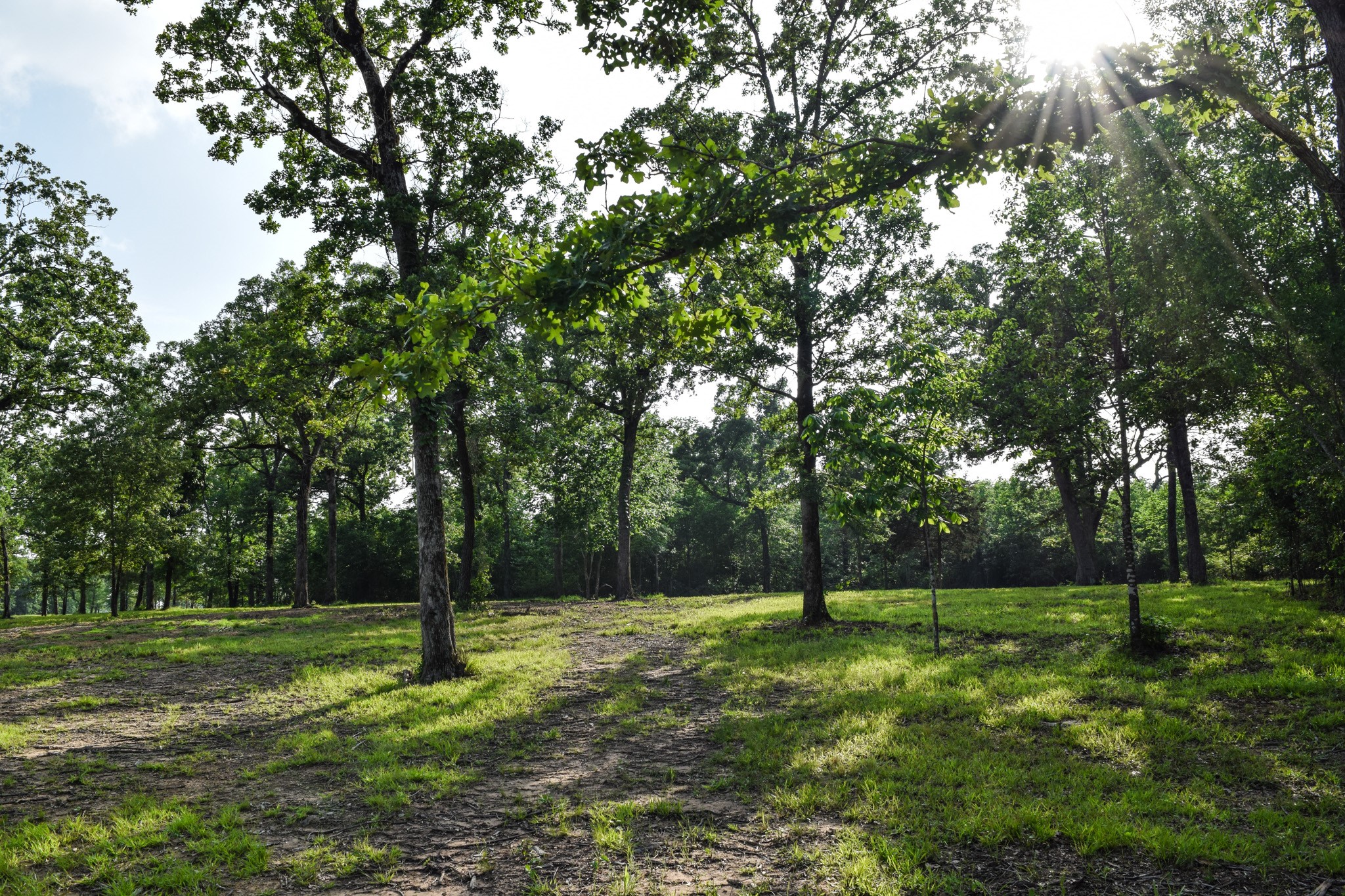 Tbd Vz County Road 1507 Road Grand Saline TX 75140