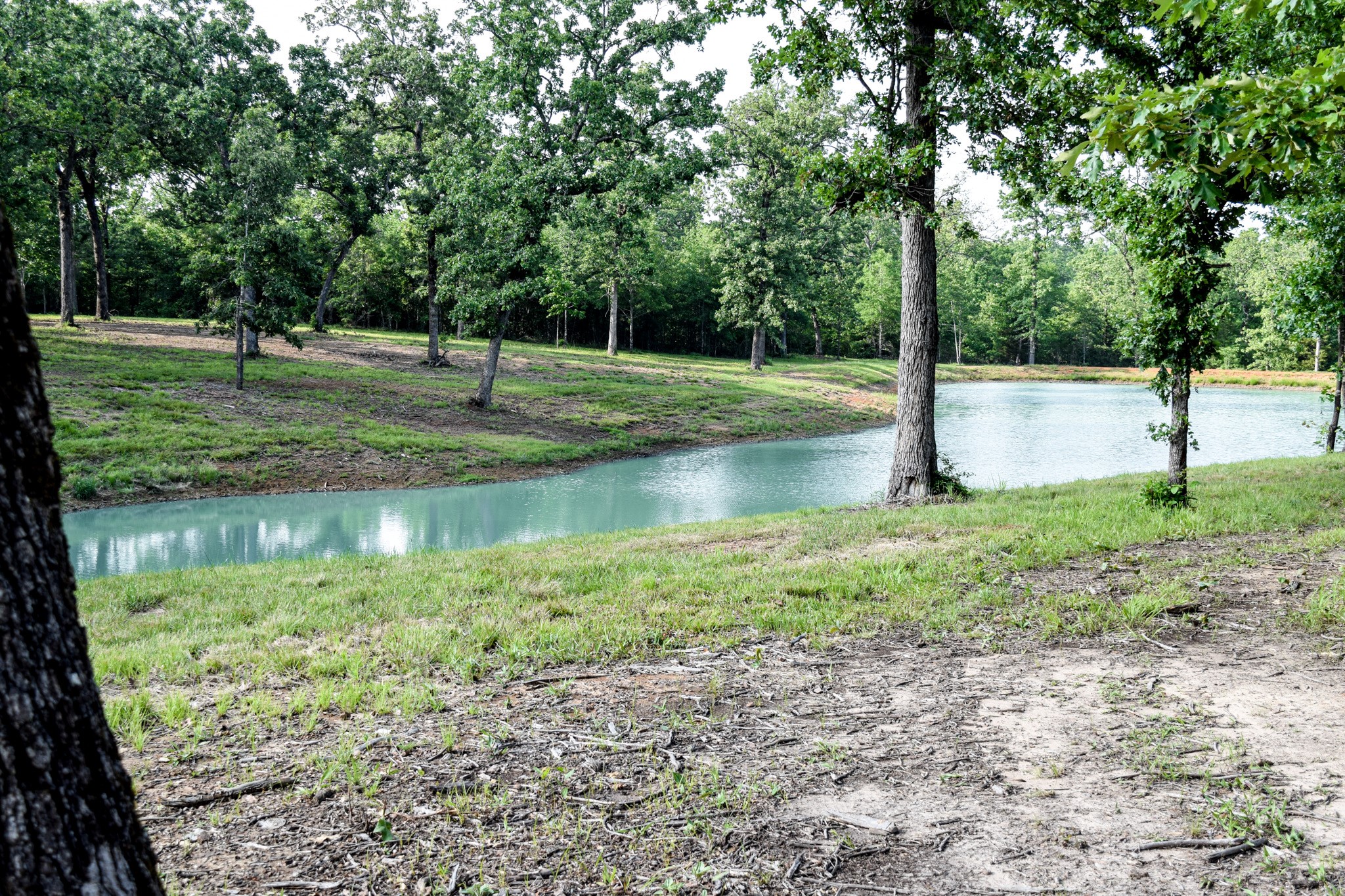Tbd Vz County Road 1507 Road Grand Saline TX 75140