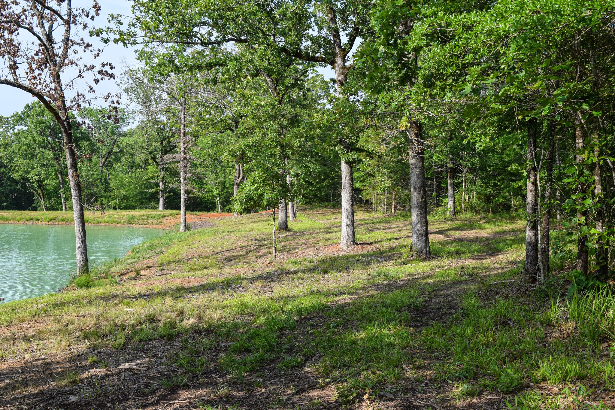Tbd Vz County Road 1507 Road Grand Saline TX 75140