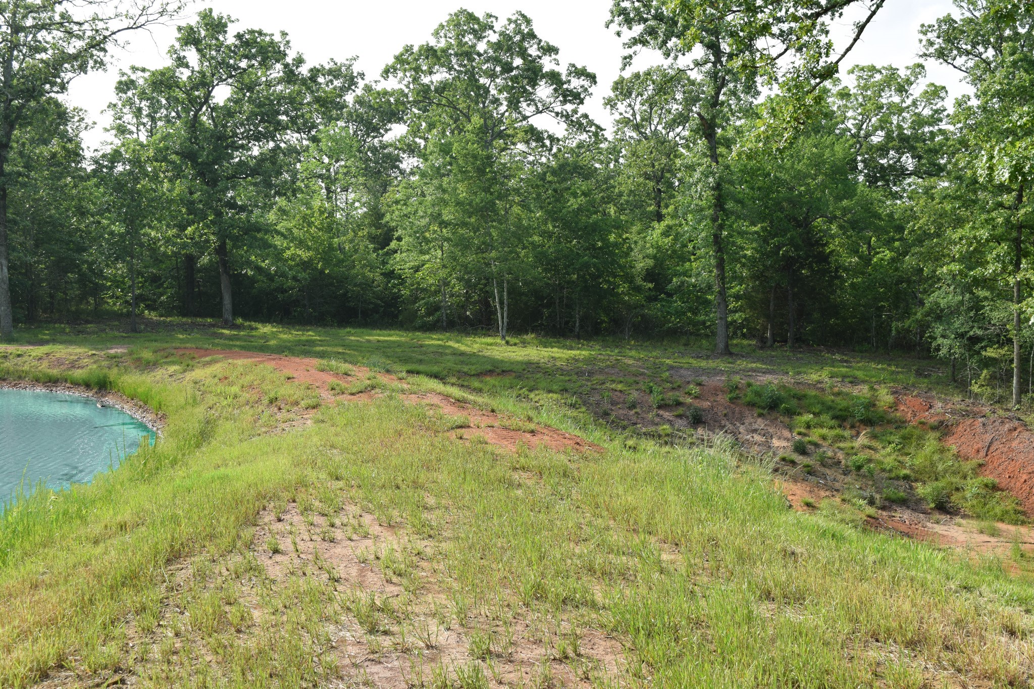 Tbd Vz County Road 1507 Road Grand Saline TX 75140