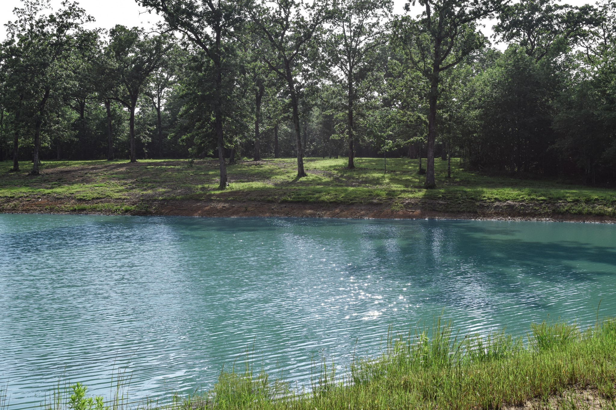 Tbd Vz County Road 1507 Road Grand Saline TX 75140
