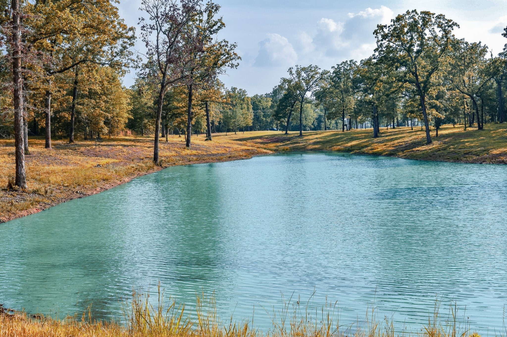 Tbd Vz County Road 1507 Road Grand Saline TX 75140