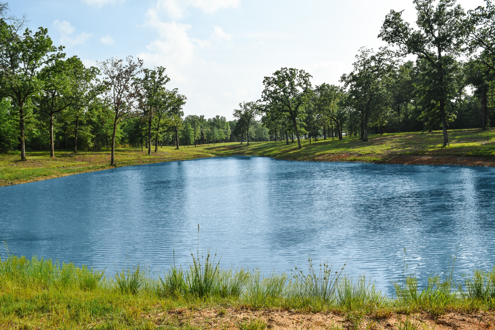 Tbd Vz County Road 1507 Road Grand Saline TX 75140
