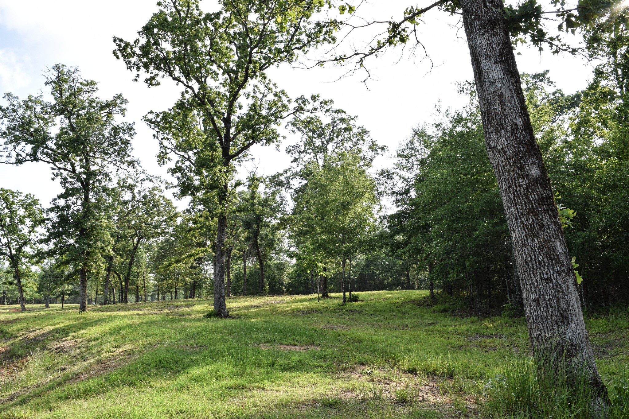 Tbd Vz County Road 1507 Road Grand Saline TX 75140