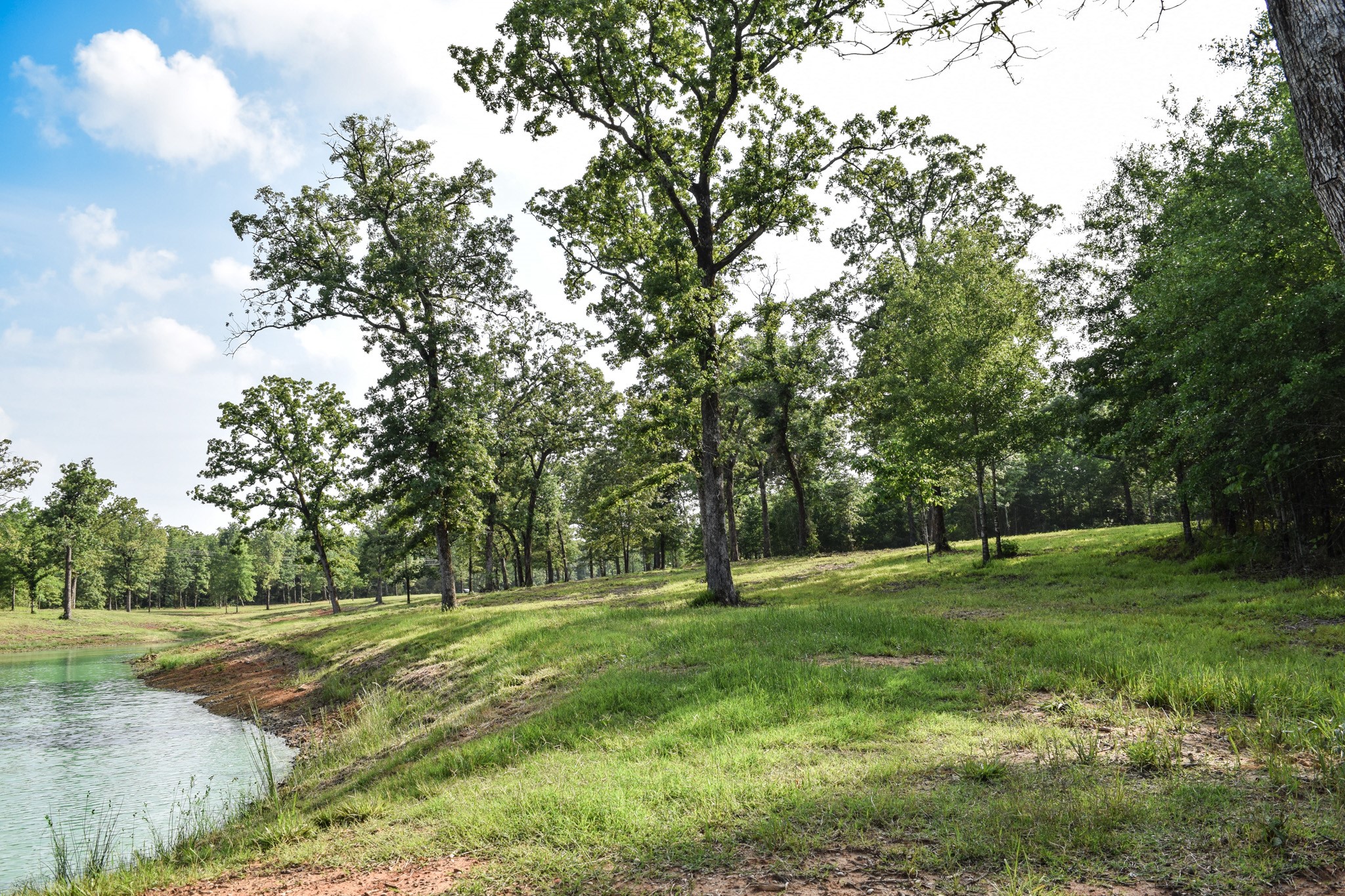 Tbd Vz County Road 1507 Road Grand Saline TX 75140