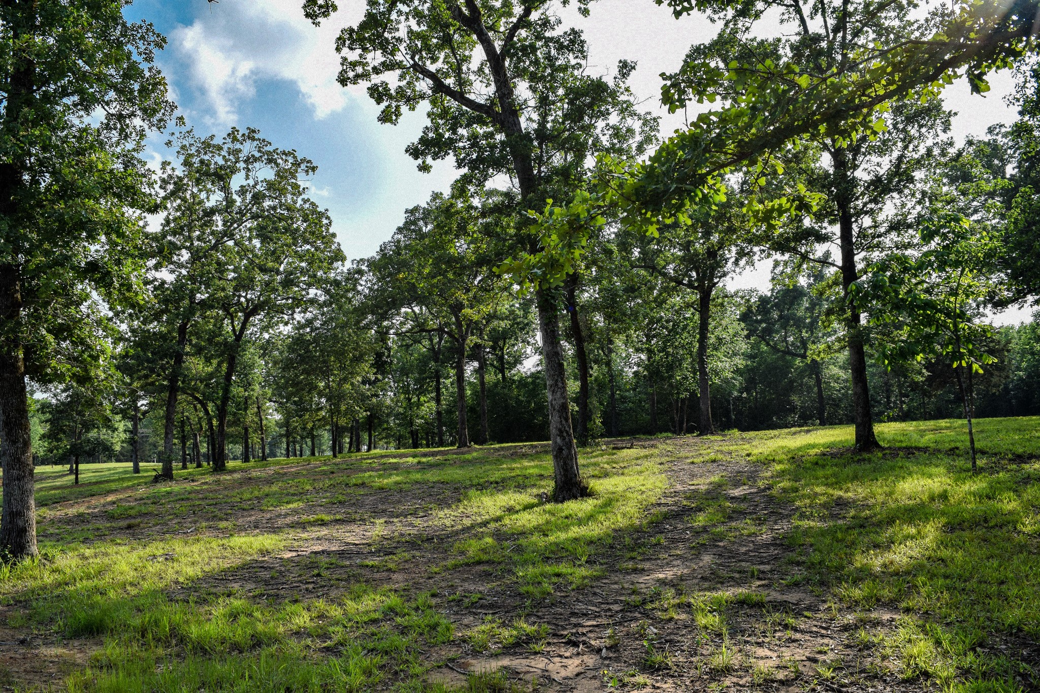 Tbd Vz County Road 1507 Road Grand Saline TX 75140