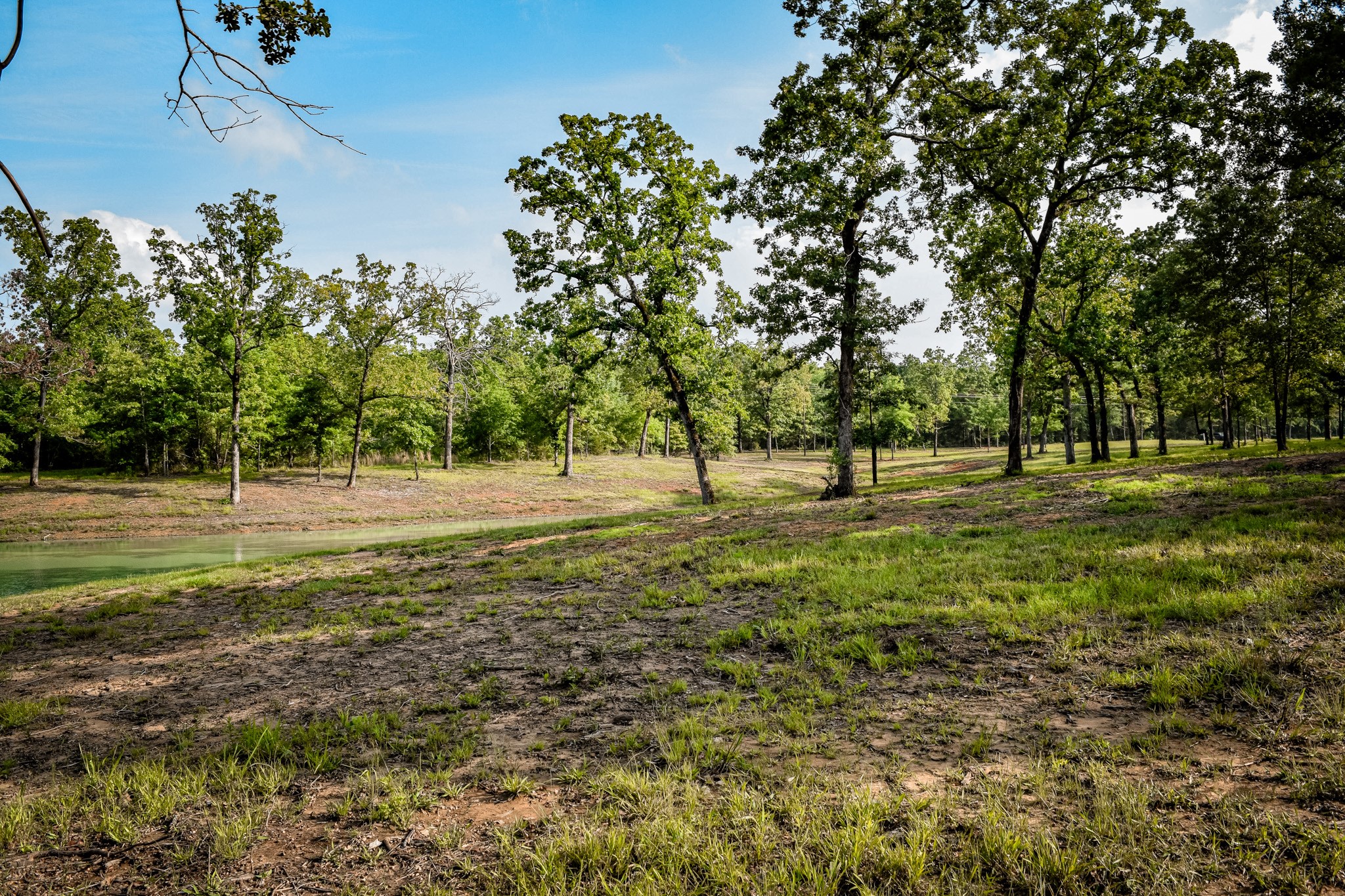 Tbd Vz County Road 1507 Road Grand Saline TX 75140