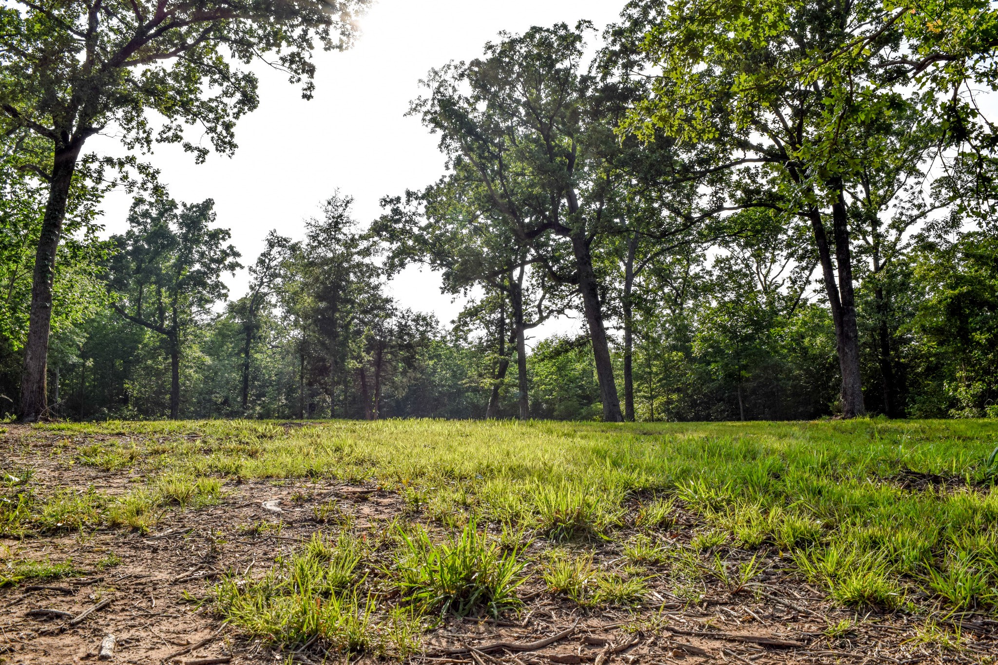Tbd Vz County Road 1507 Road Grand Saline TX 75140