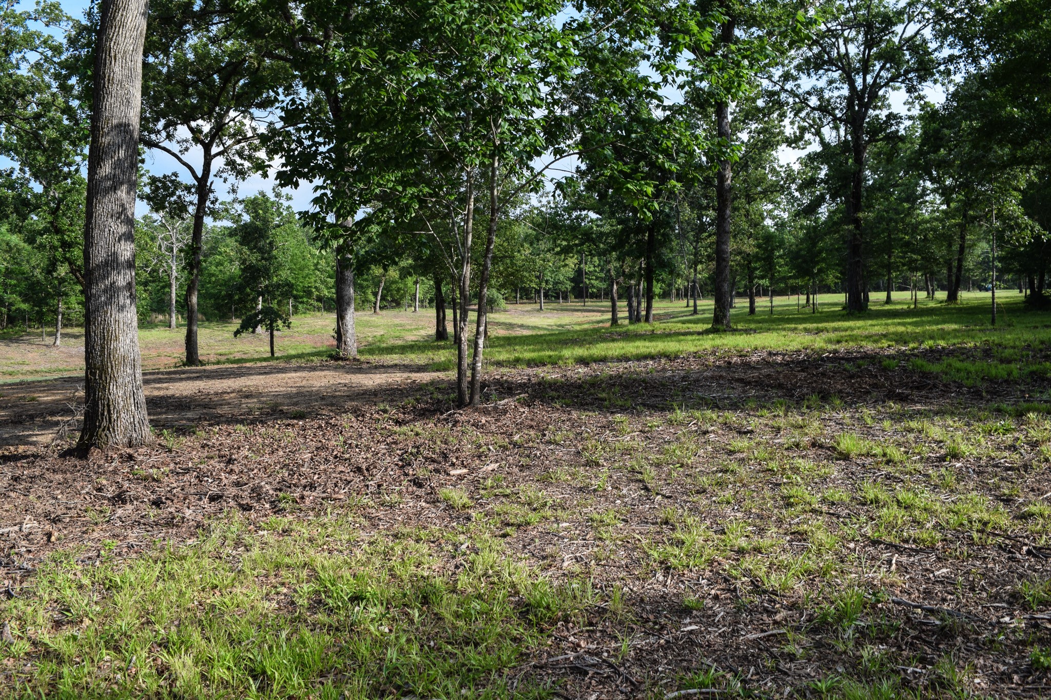 Tbd Vz County Road 1507 Road Grand Saline TX 75140