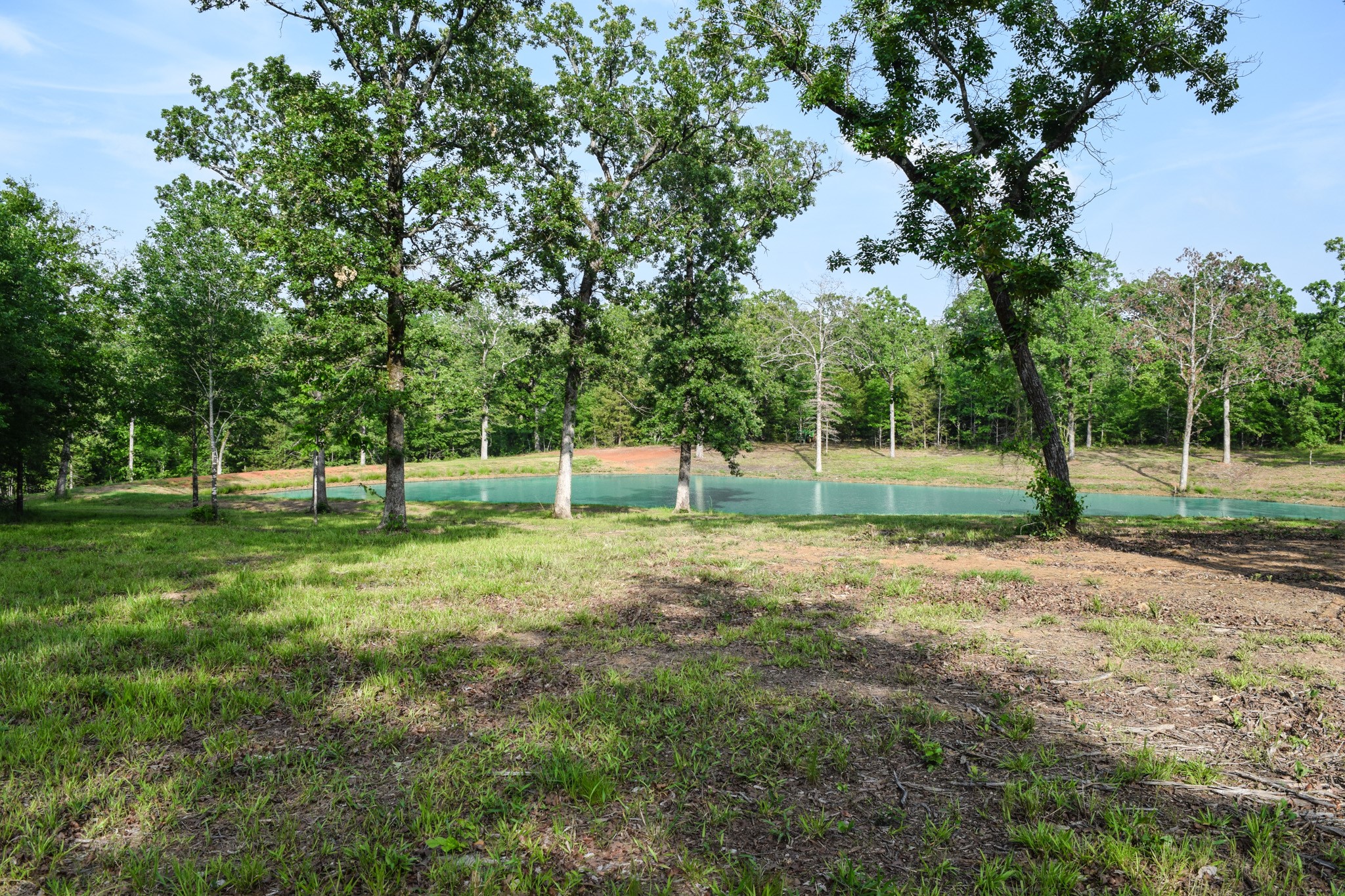 Tbd Vz County Road 1507 Road Grand Saline TX 75140