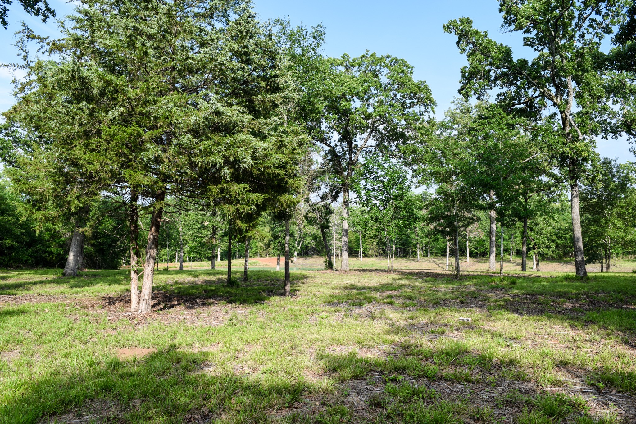 Tbd Vz County Road 1507 Road Grand Saline TX 75140