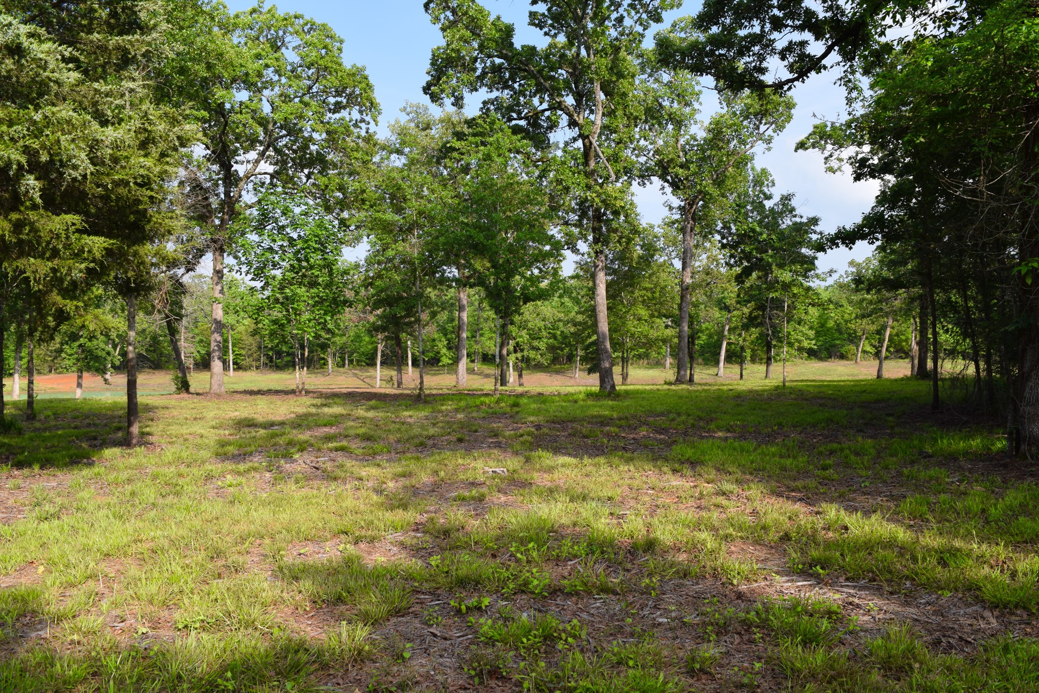 Tbd Vz County Road 1507 Road Grand Saline TX 75140