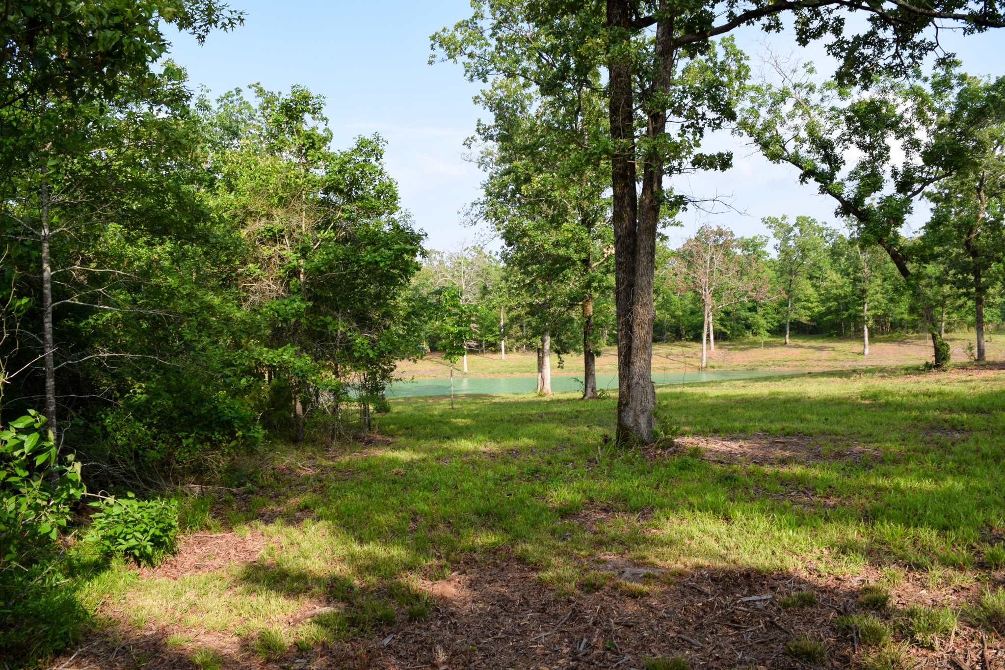 Tbd Vz County Road 1507 Road Grand Saline TX 75140