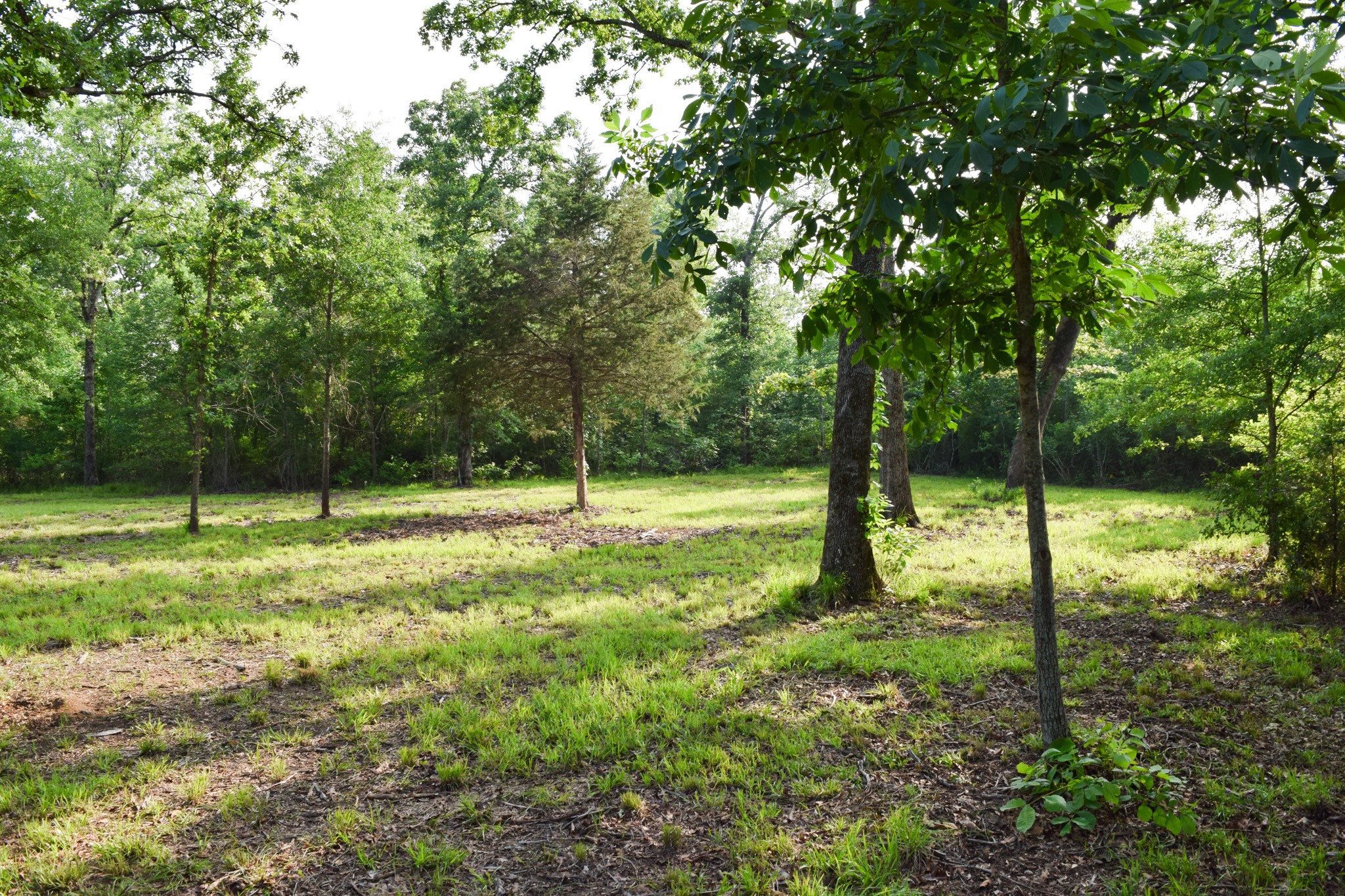 Tbd Vz County Road 1507 Road Grand Saline TX 75140