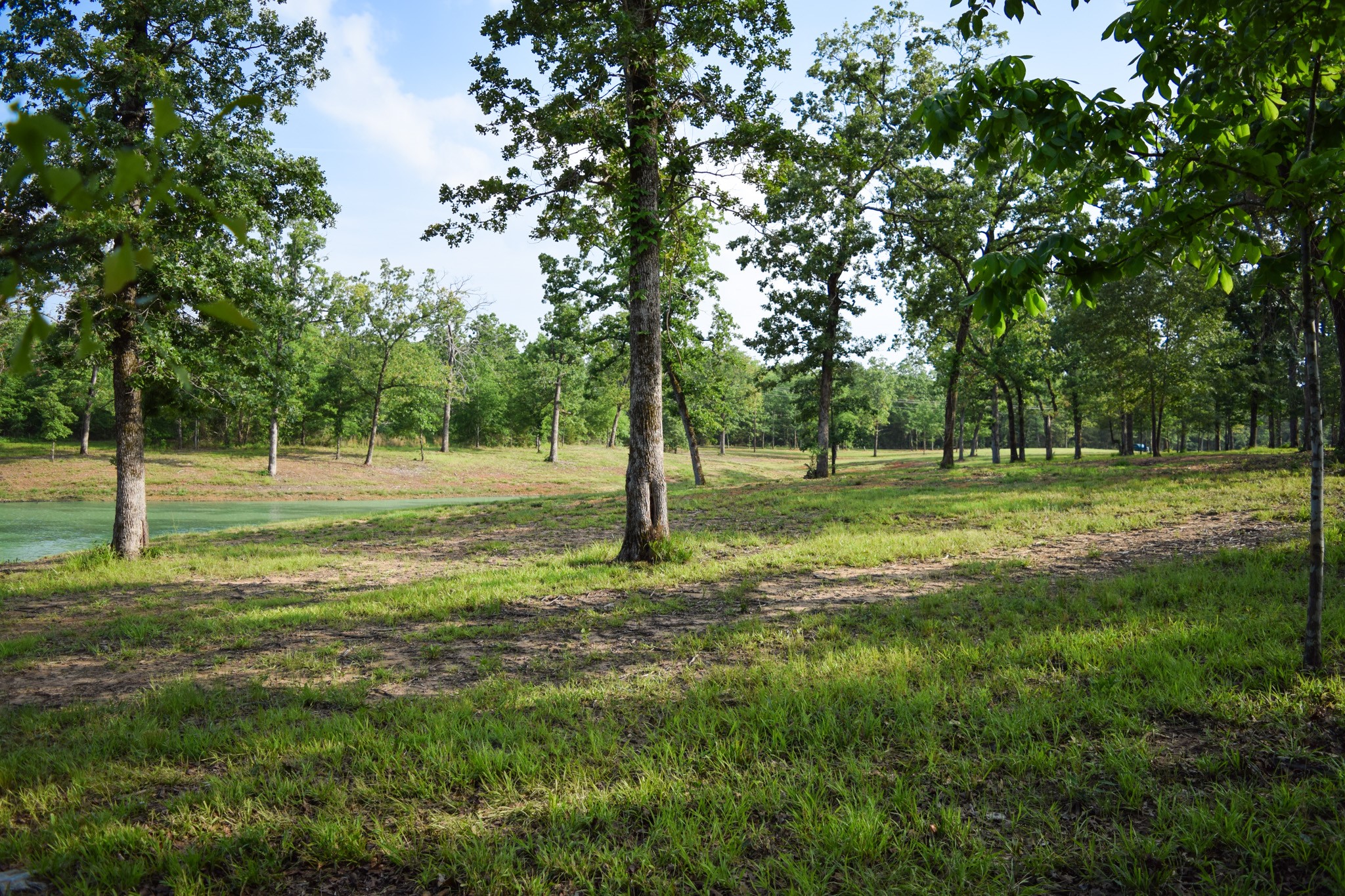 Tbd Vz County Road 1507 Road Grand Saline TX 75140
