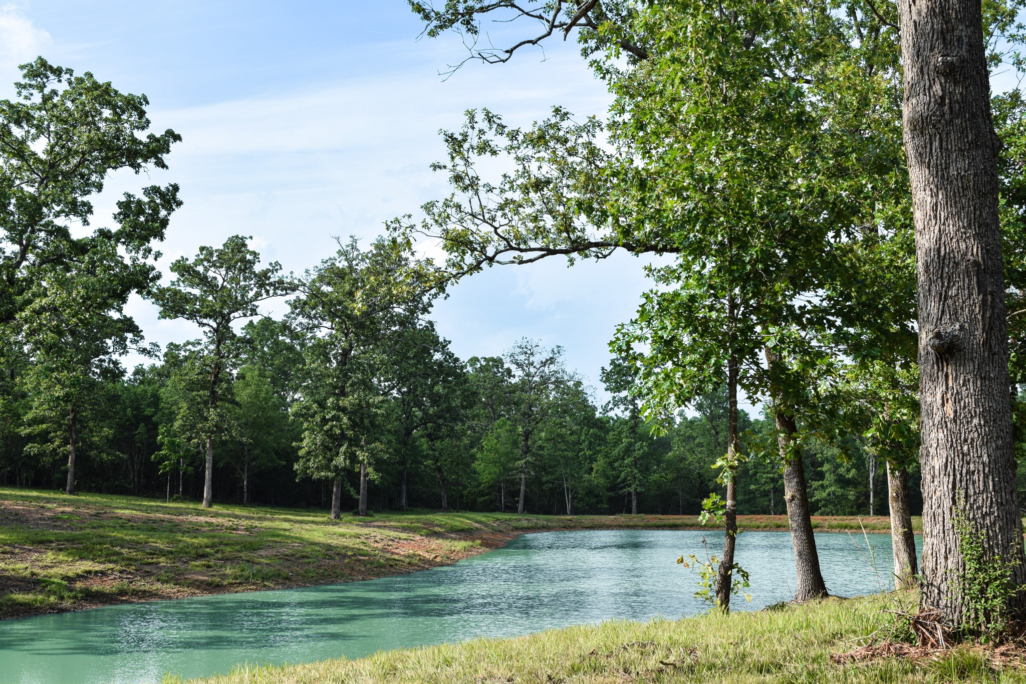 Tbd Vz County Road 1507 Road Grand Saline TX 75140