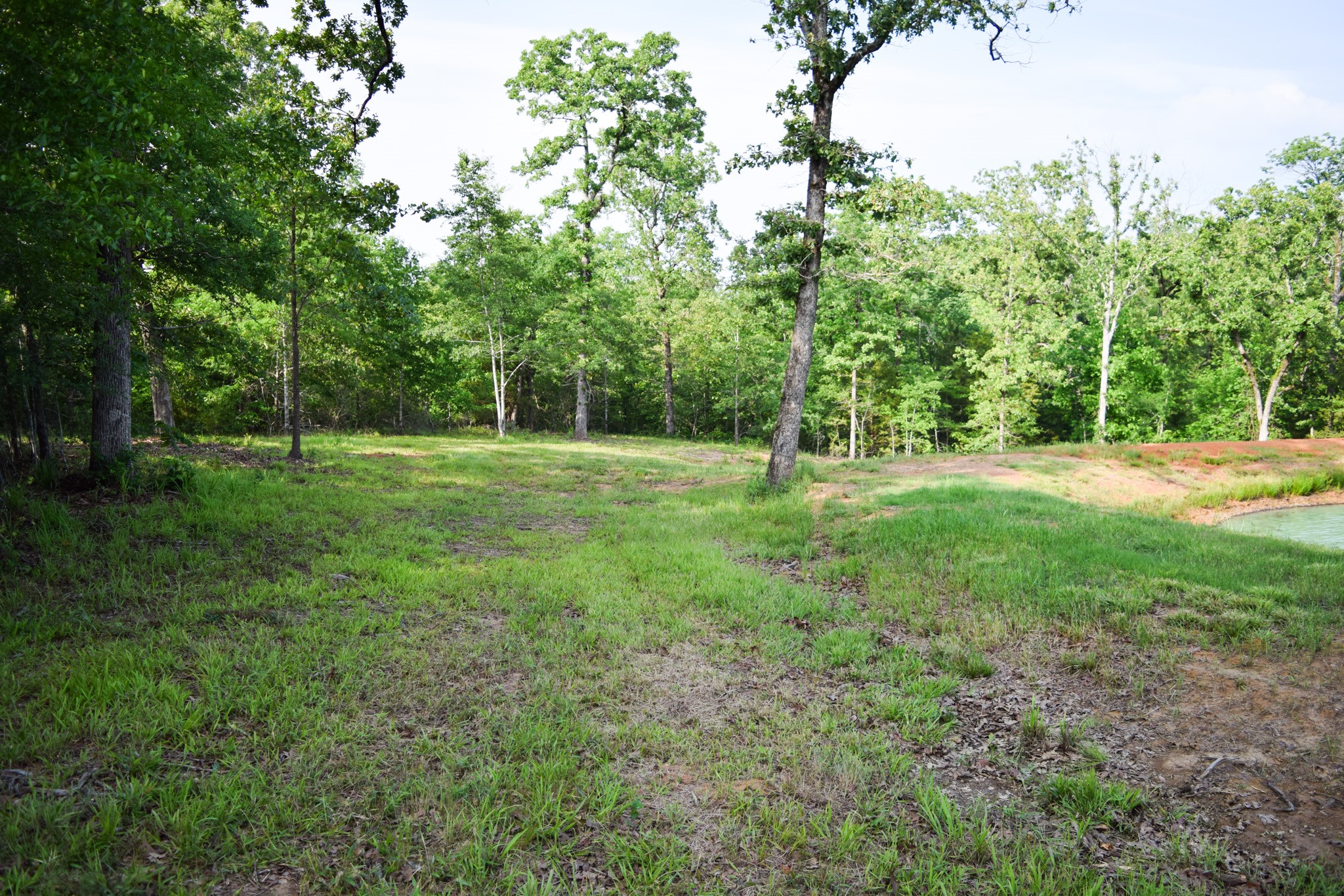 Tbd Vz County Road 1507 Road Grand Saline TX 75140