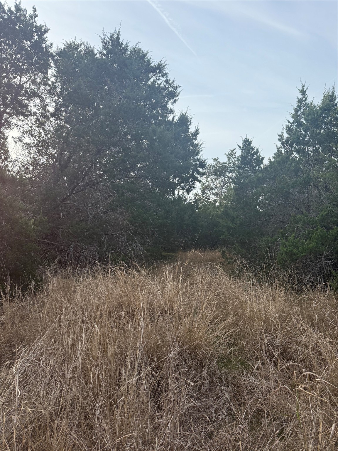 58 Bramble Bush Drive Morgans Point Resort TX 76513