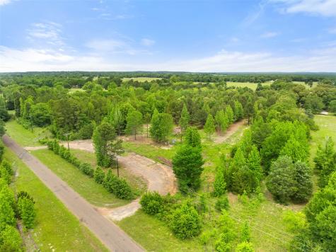 Tbd County Road 2790 Mineola TX 75773