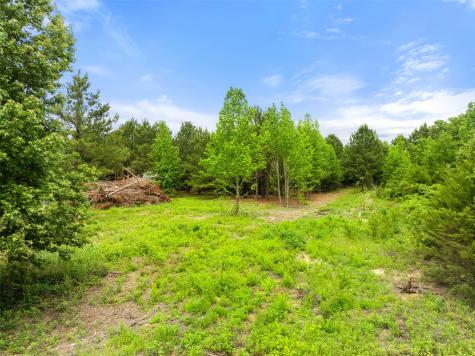 Tbd County Road 2790 Mineola TX 75773