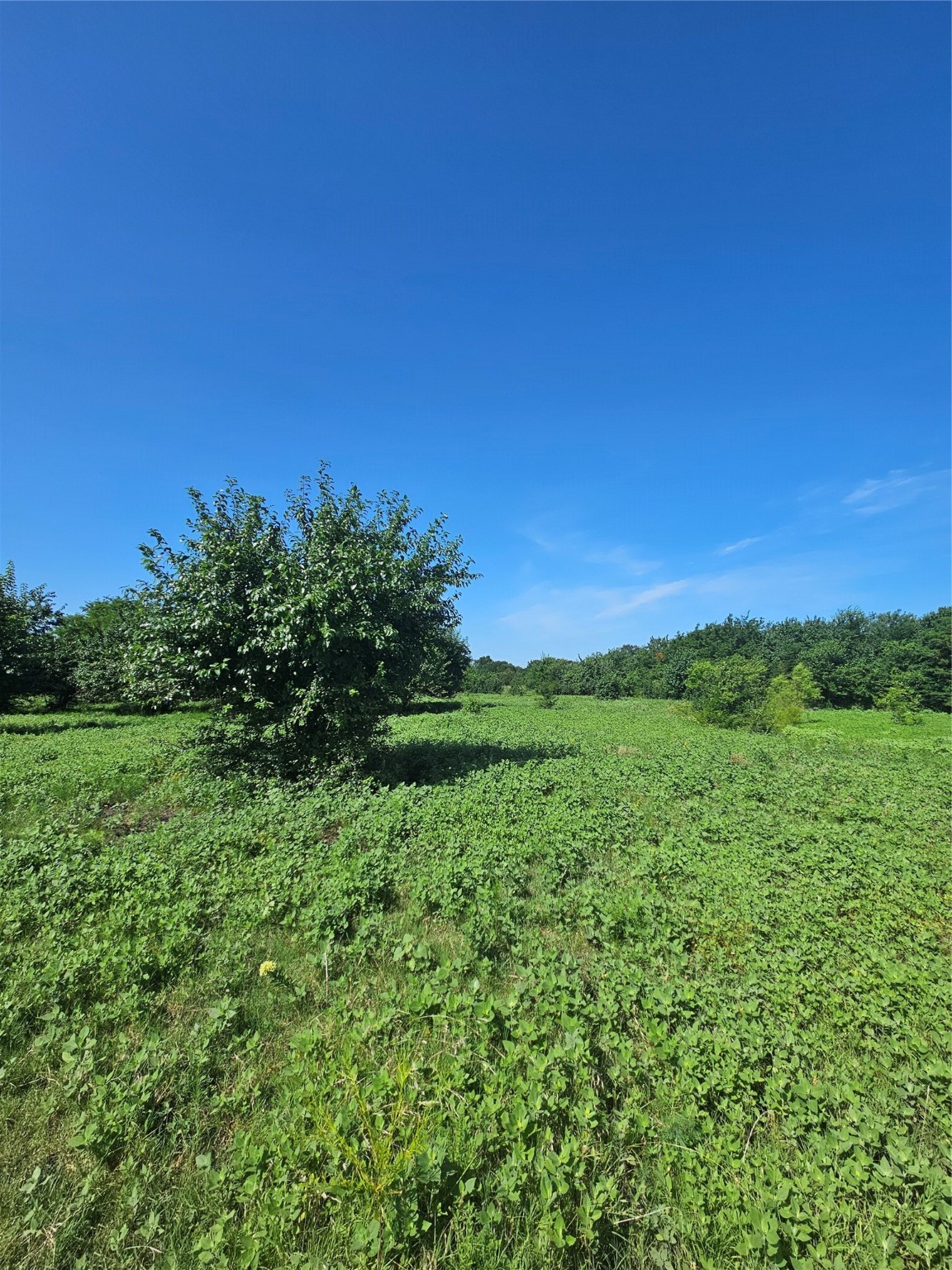 Tbd Cr 4841 Leonard TX 75542