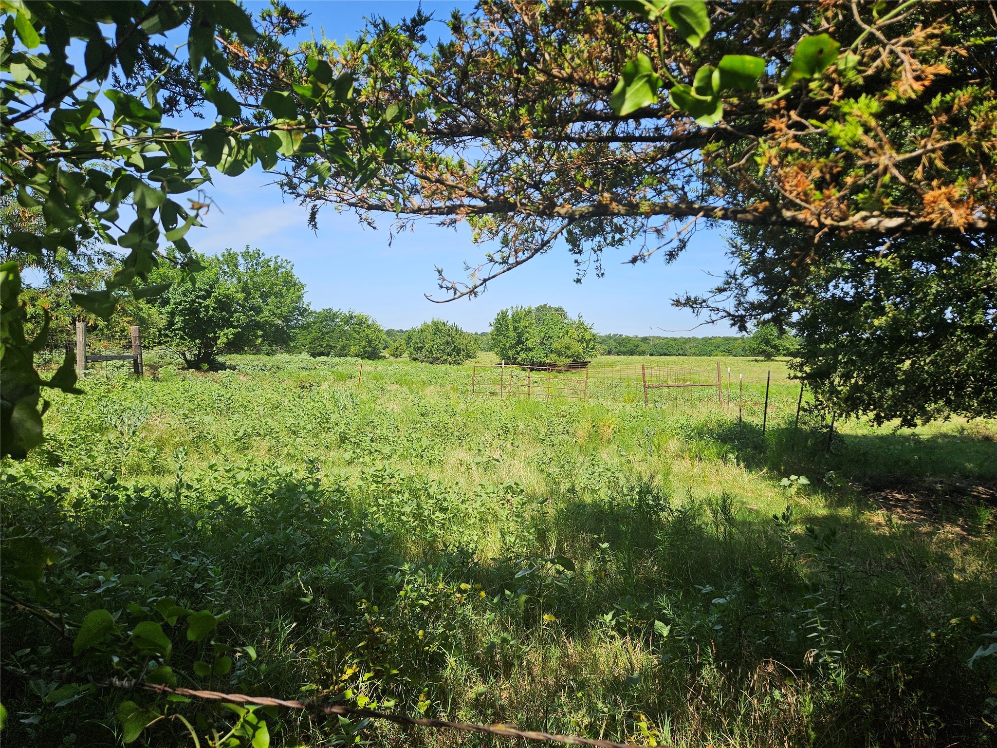 Tbd Cr 4841 Leonard TX 75542