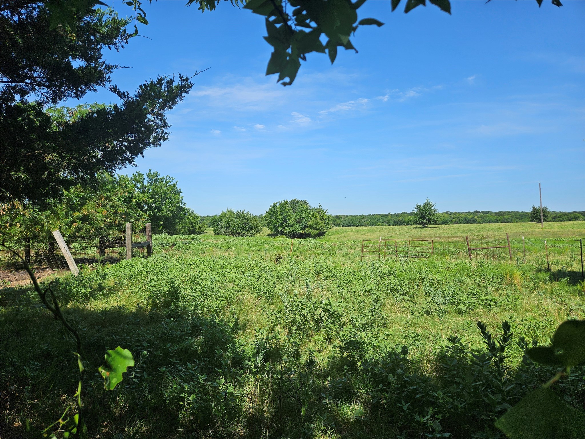 Tbd Cr 4841 Leonard TX 75542