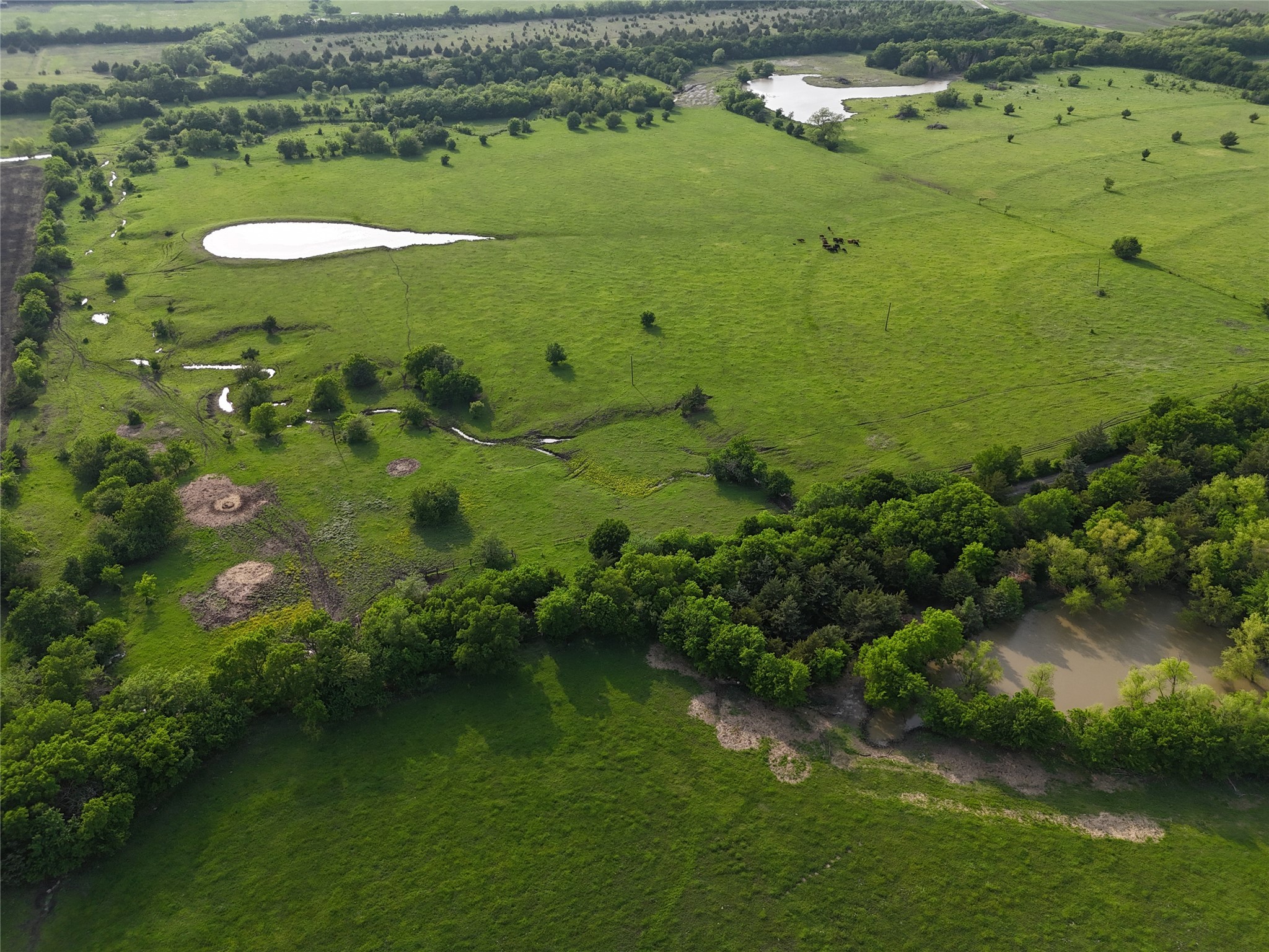 Tbd Cr 4841 Leonard TX 75542