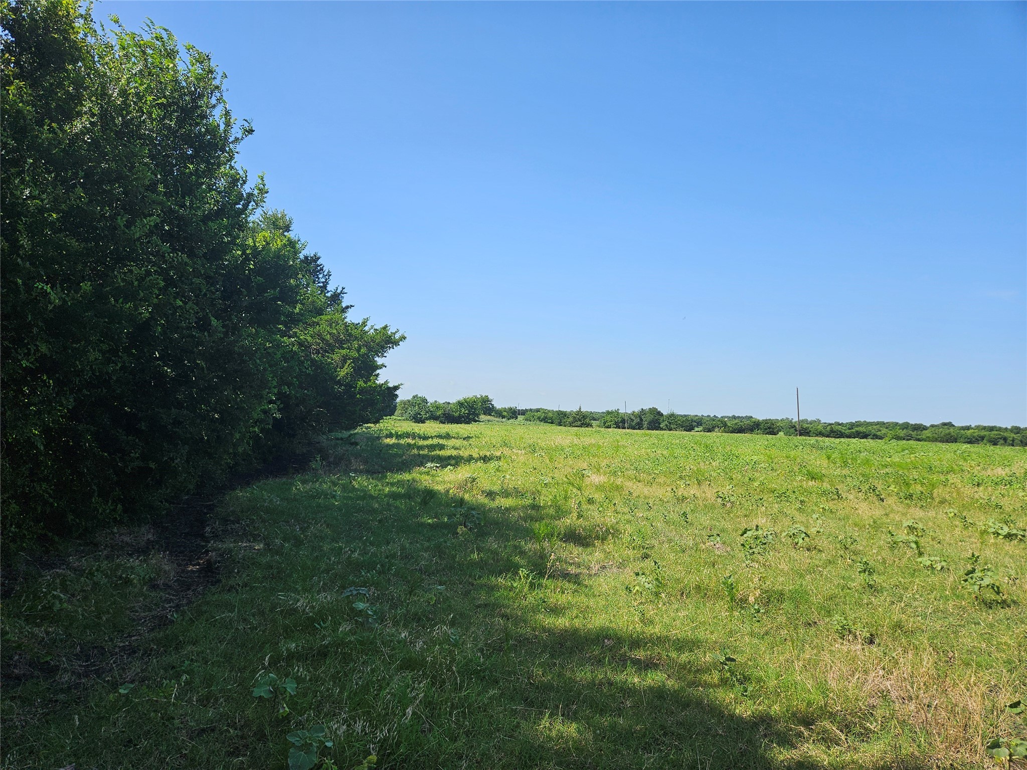 Tbd Cr 4841 Leonard TX 75542