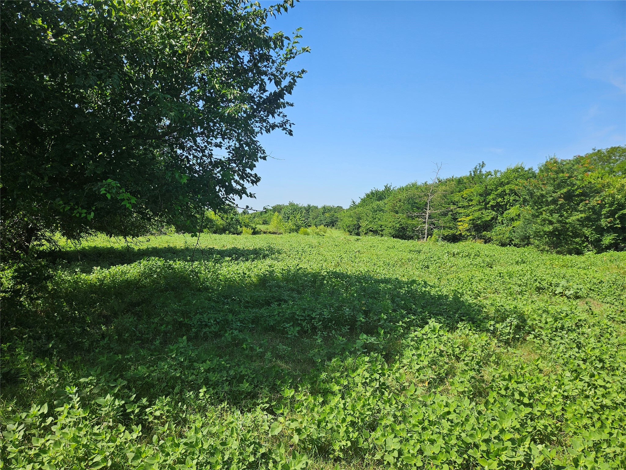 Tbd Cr 4841 Leonard TX 75542