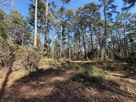Lot 4 Private Road 8573 Winnsboro TX 75494