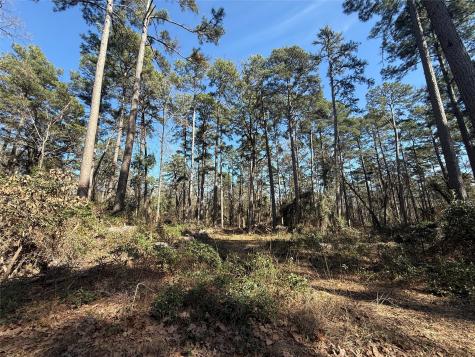 Lot 4 Private Road 8573 Winnsboro TX 75494