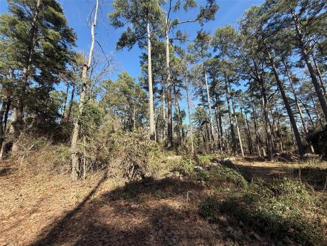 Lot 4 Private Road 8573 Winnsboro TX 75494
