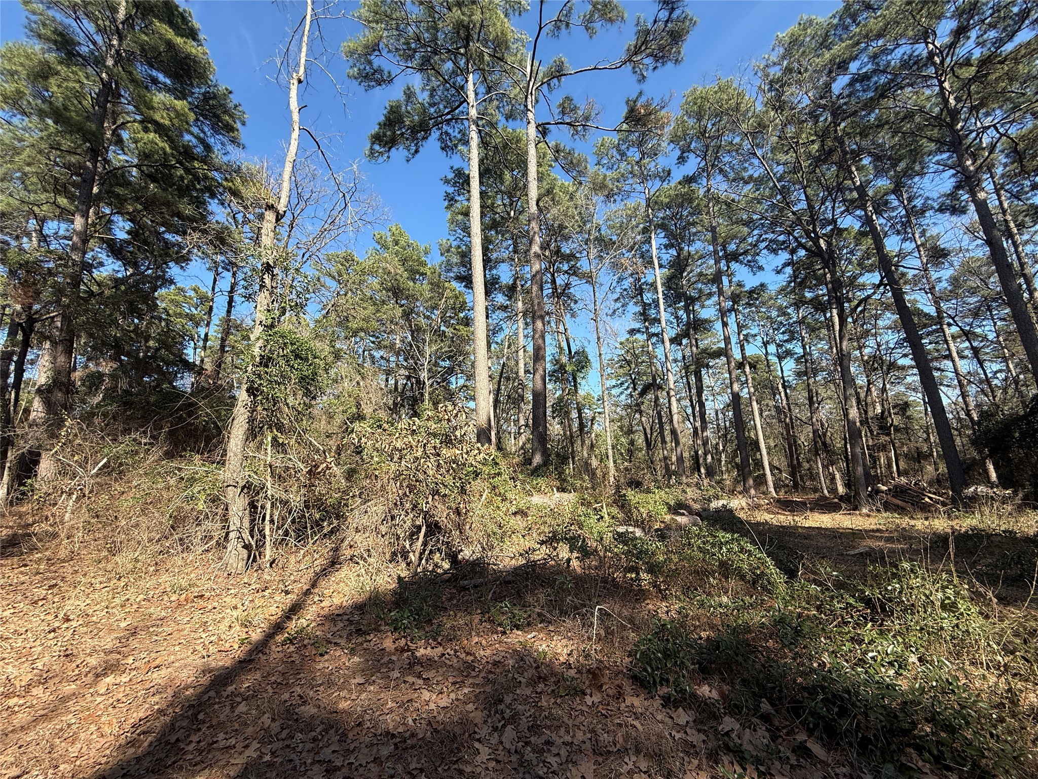 Lot 4 Private Road 8573 Winnsboro TX 75494