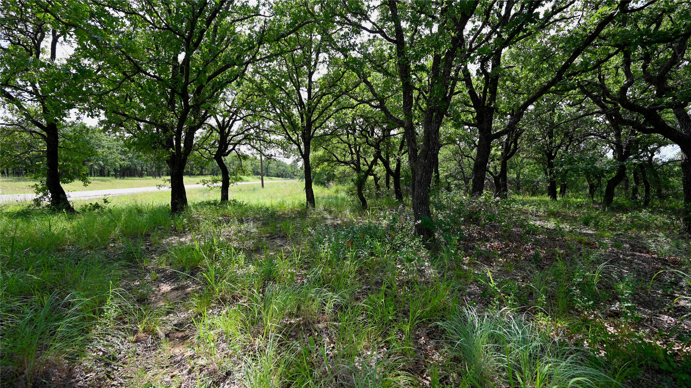 103 Seneca Trail N Nocona TX 76255