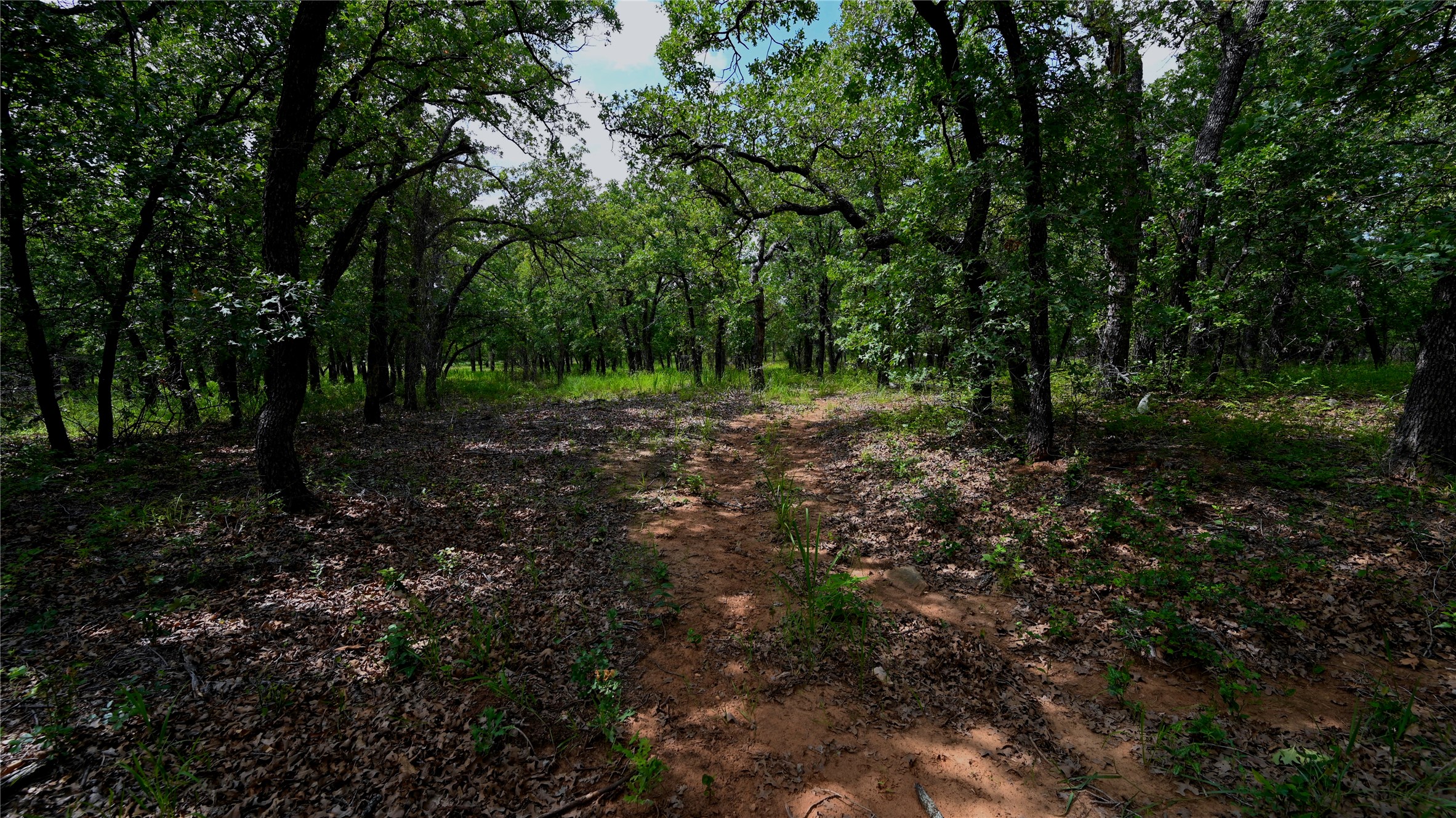 103 Seneca Trail N Nocona TX 76255