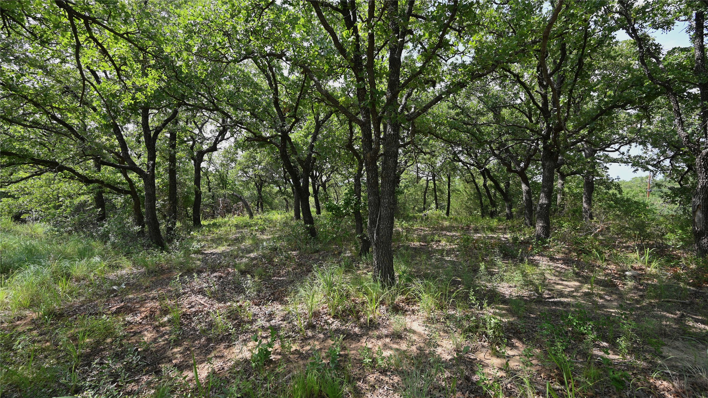 103 Seneca Trail N Nocona TX 76255