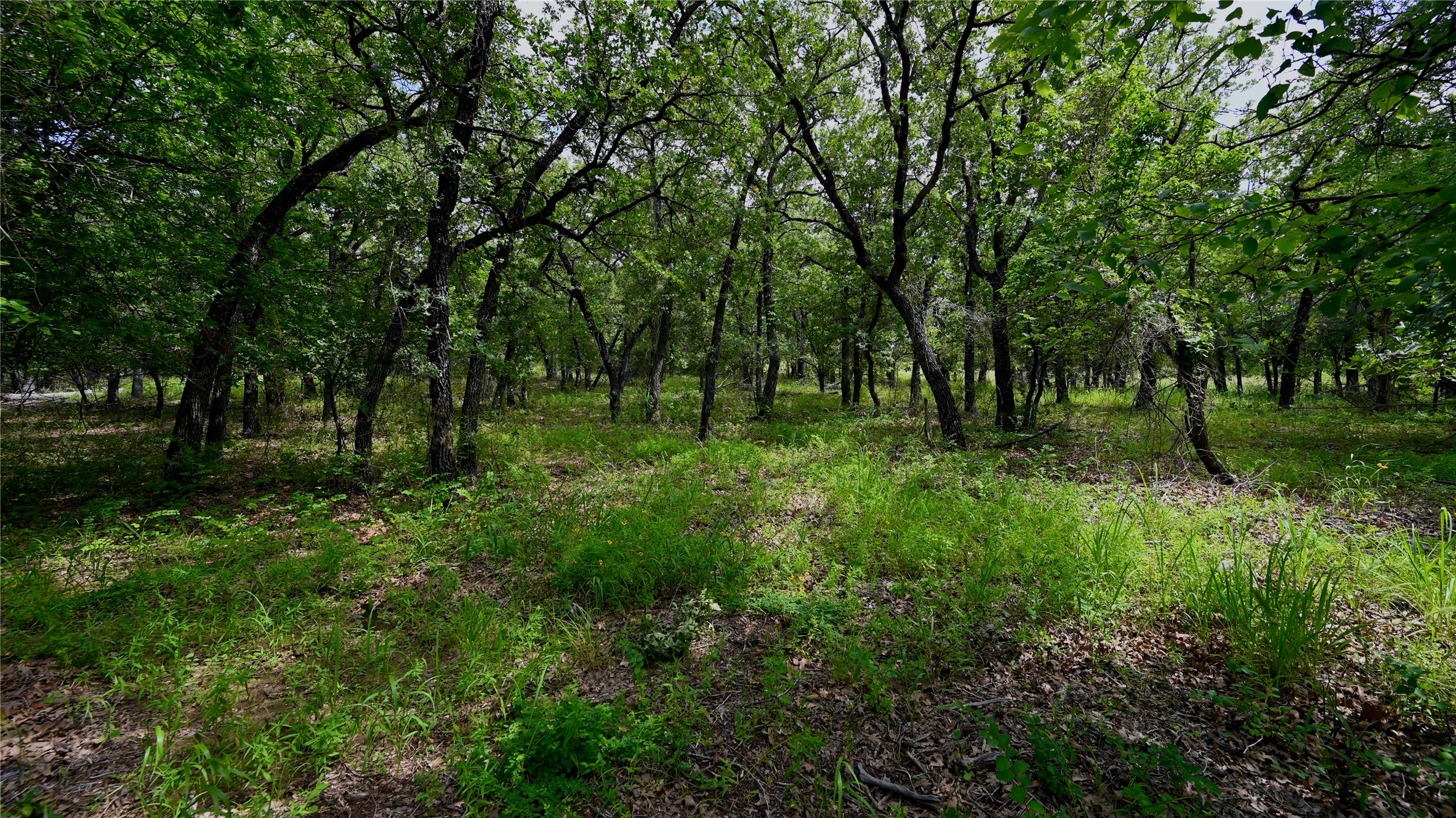 103 Seneca Trail N Nocona TX 76255