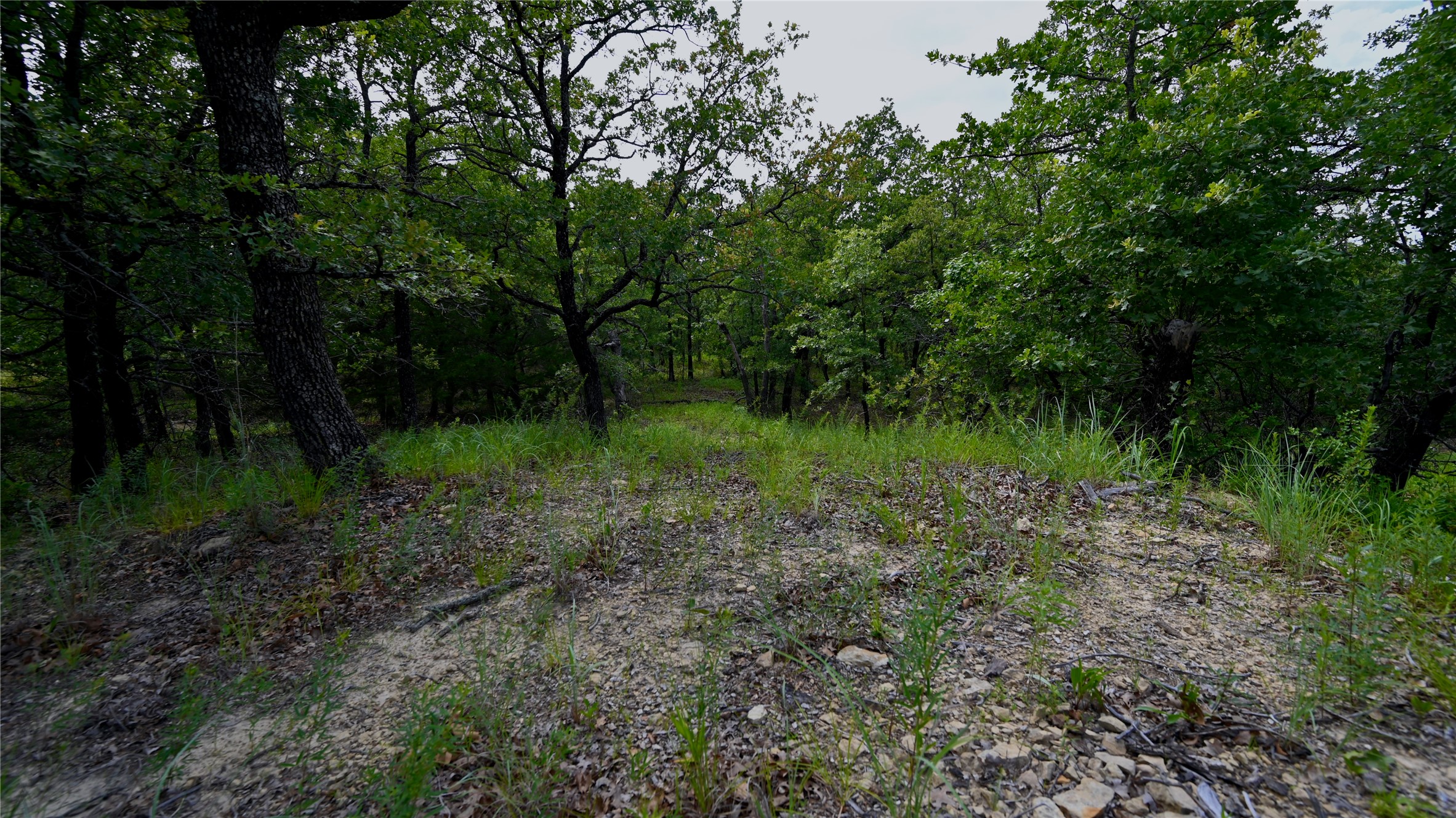 103 Seneca Trail N Nocona TX 76255