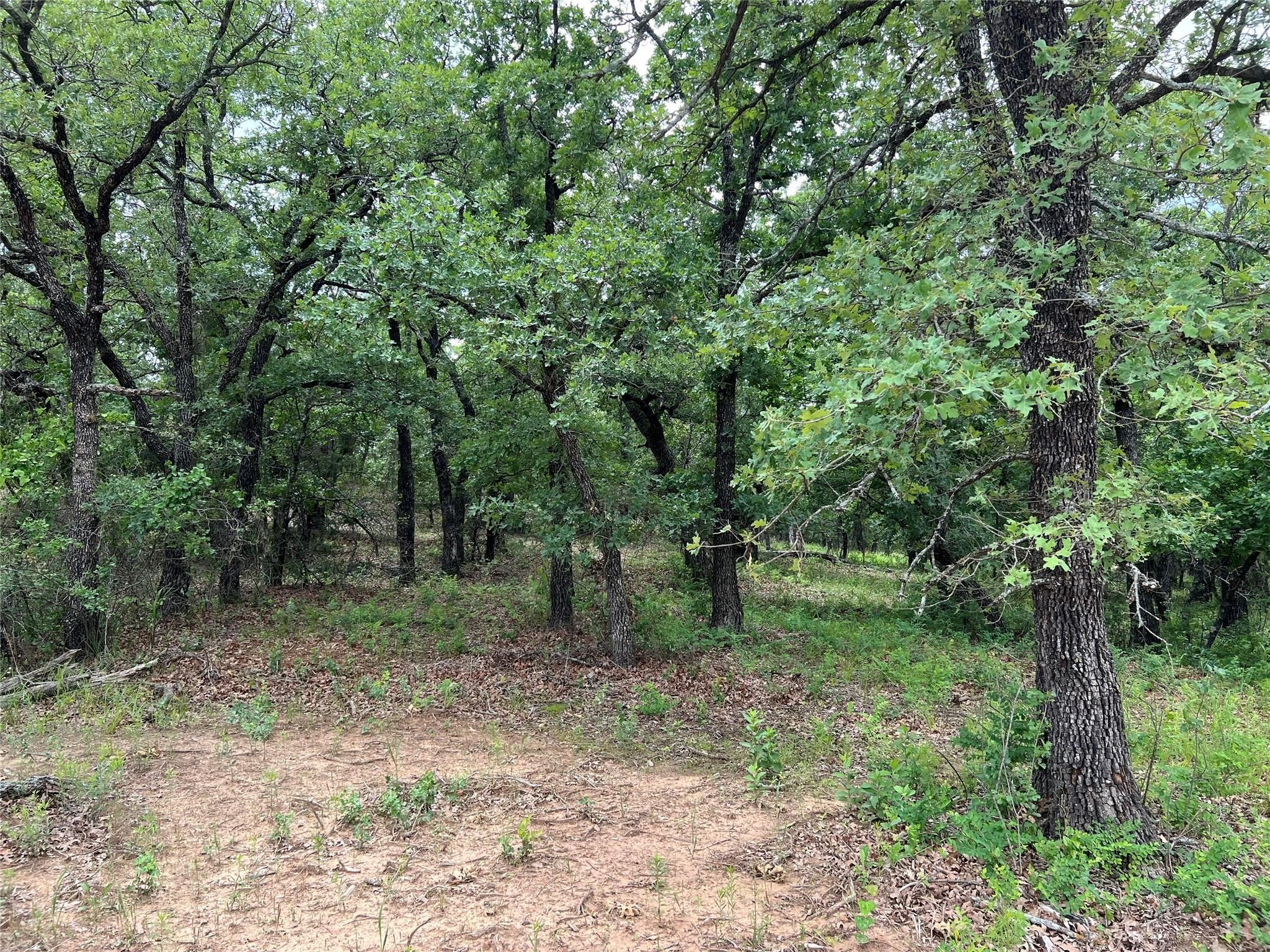 103 Seneca Trail N Nocona TX 76255
