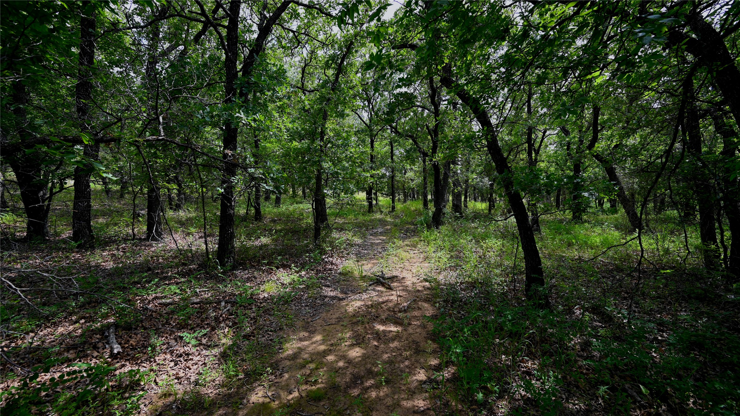 103 Seneca Trail N Nocona TX 76255