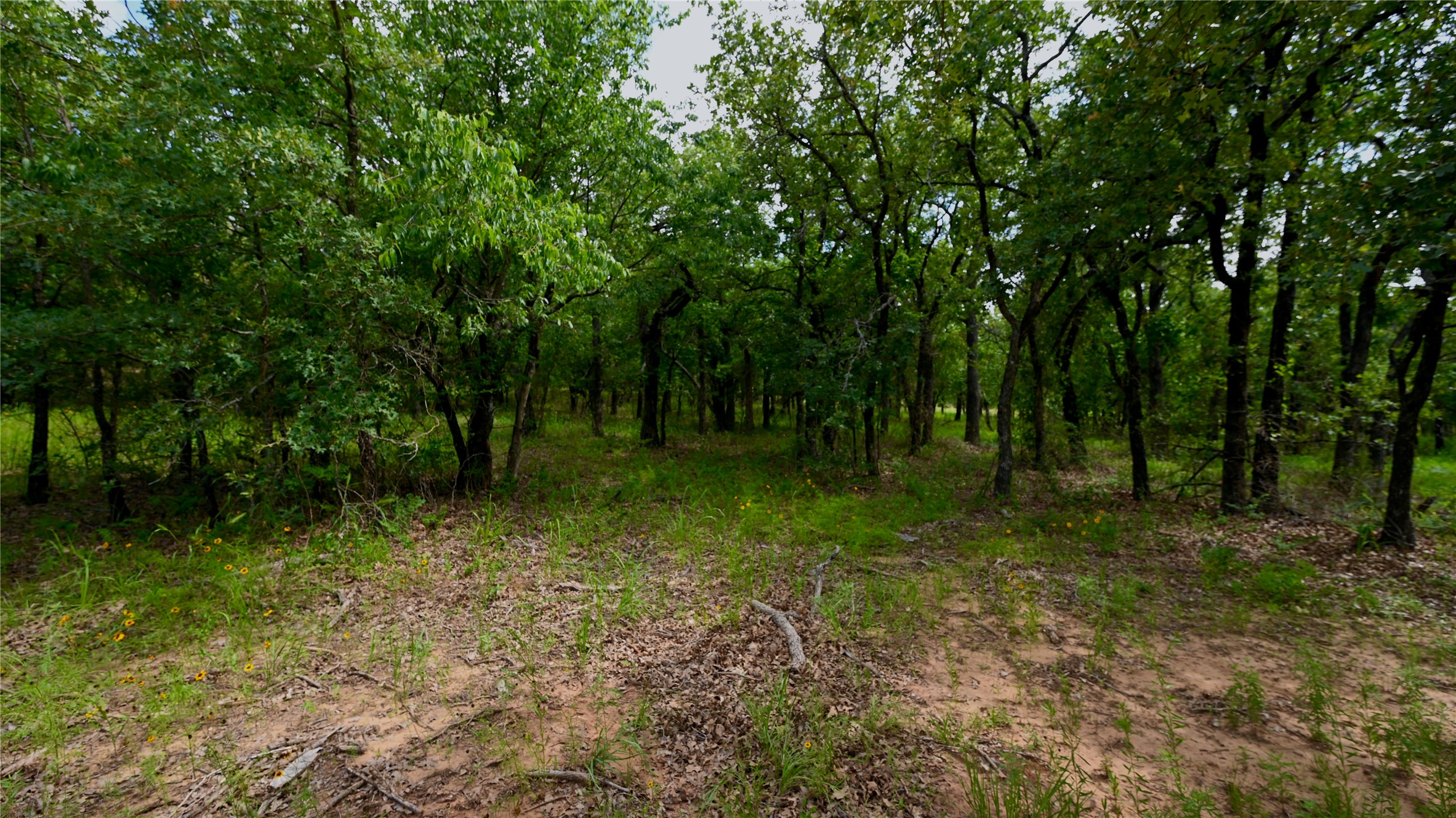 103 Seneca Trail N Nocona TX 76255
