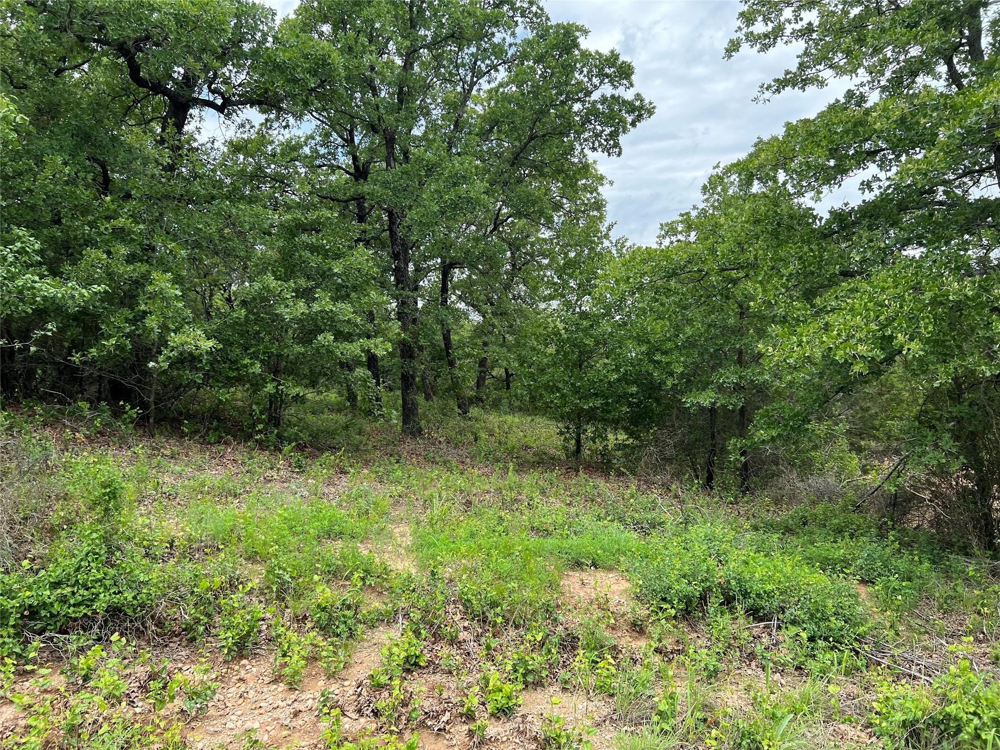 103 Seneca Trail N Nocona TX 76255