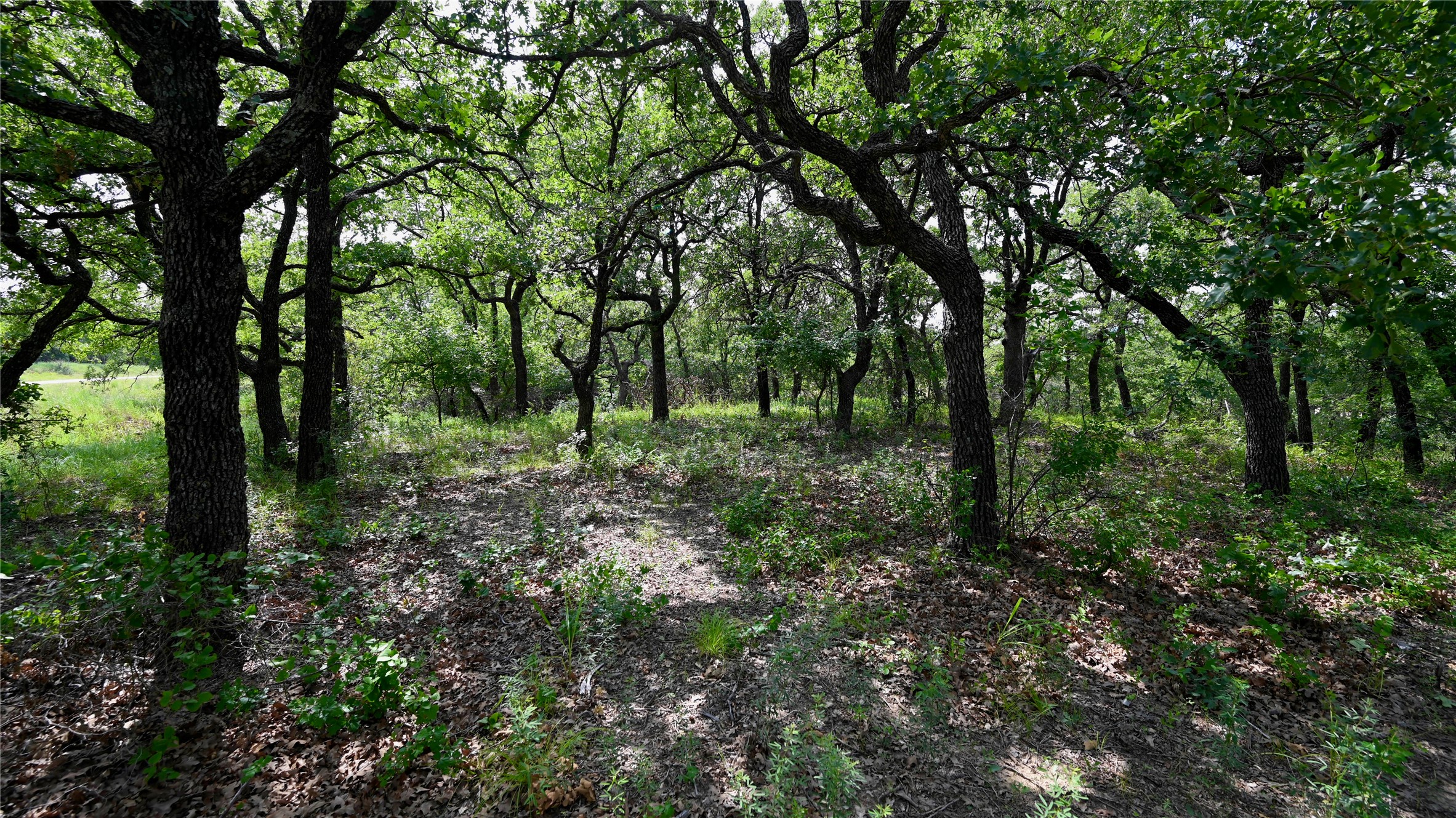 103 Seneca Trail N Nocona TX 76255