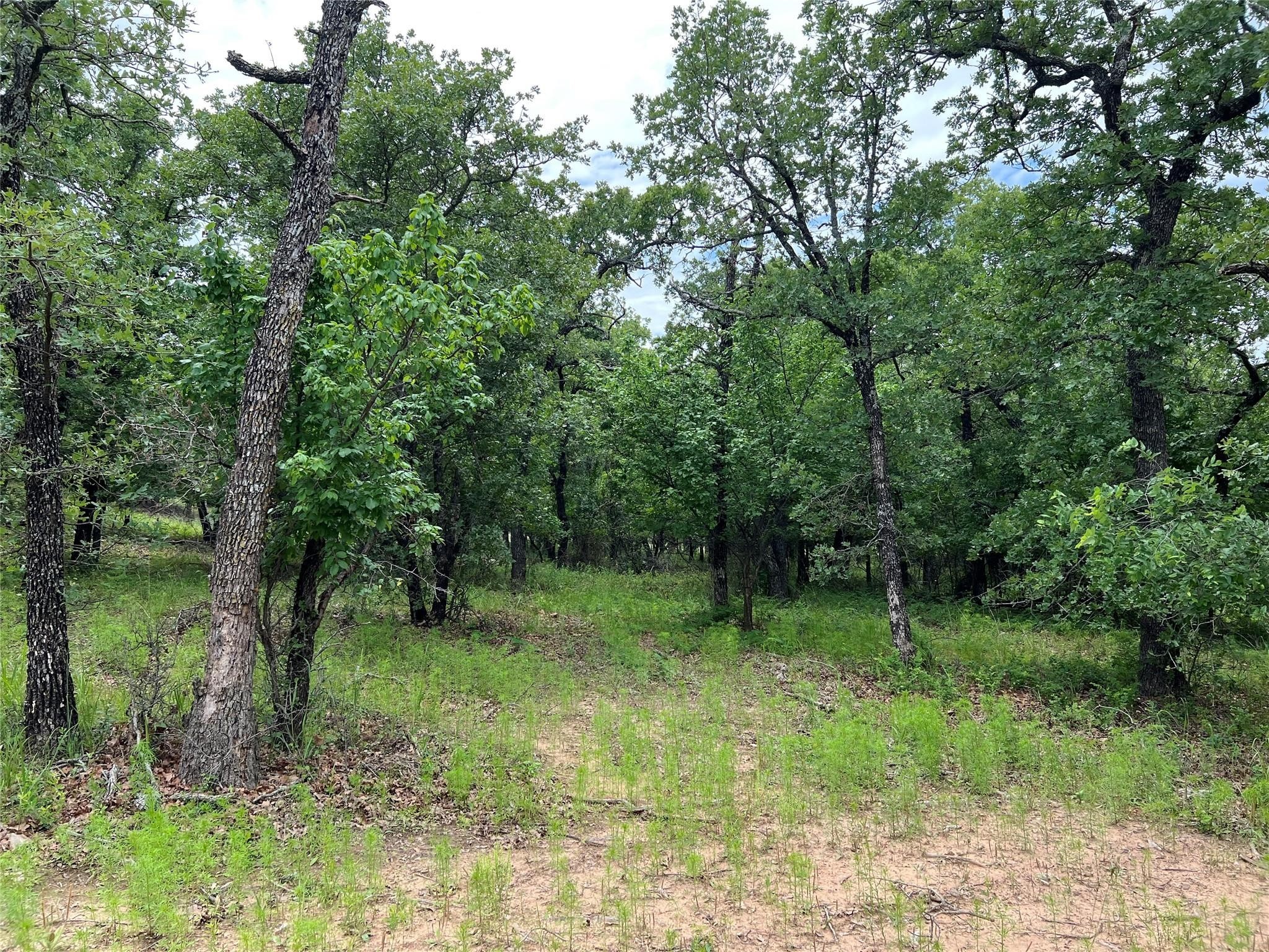 103 Seneca Trail N Nocona TX 76255